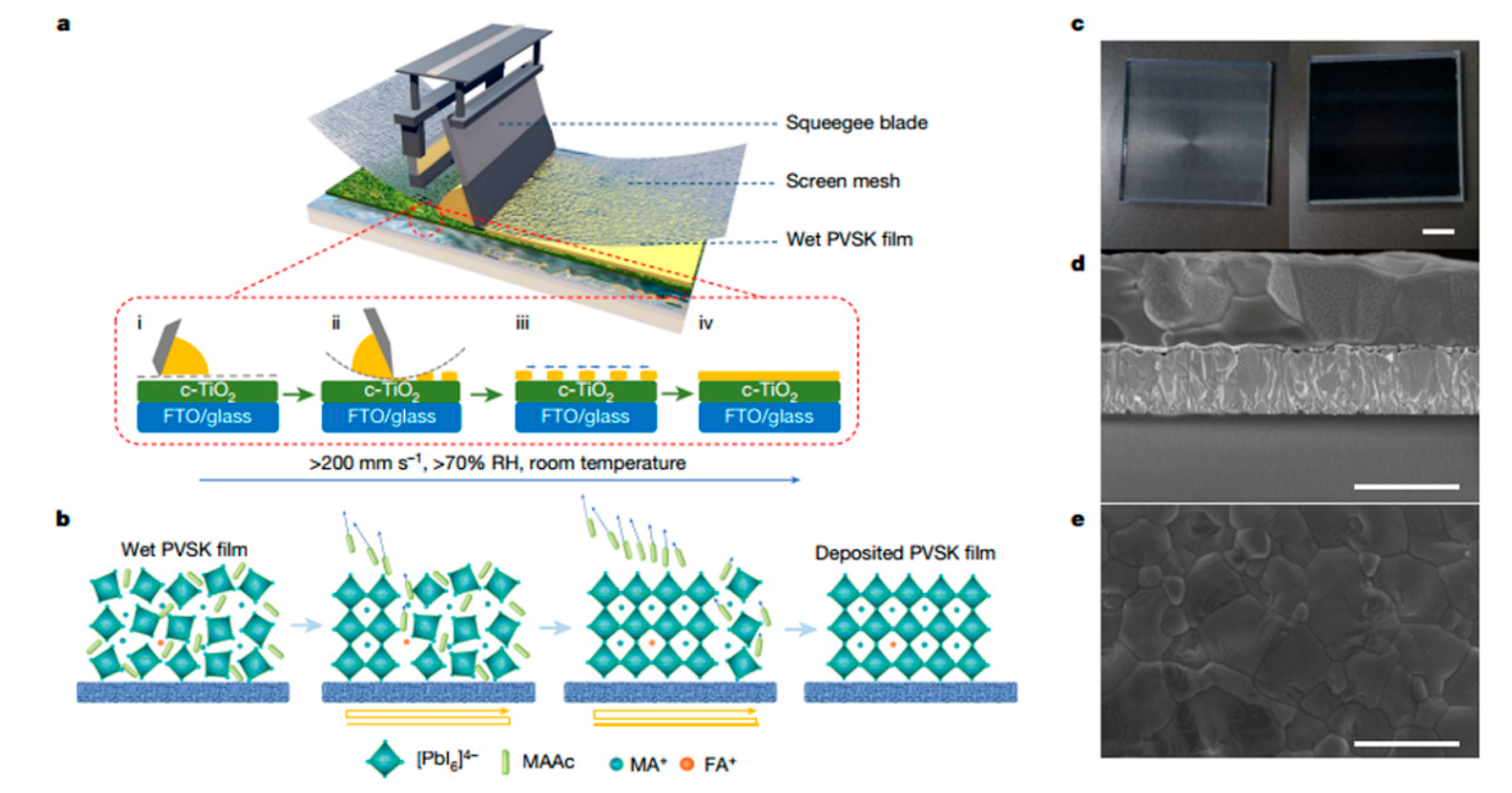 Molecules 30 02221 g011