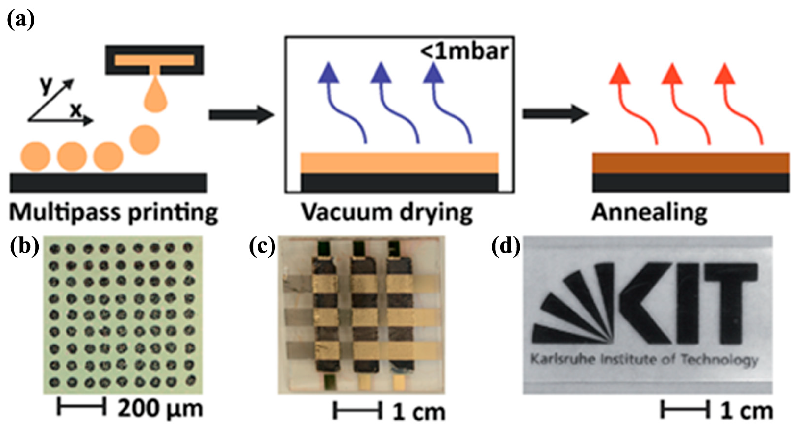 Molecules 30 02221 g012