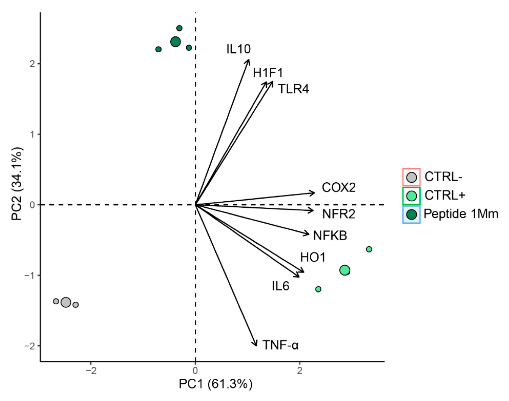 Molecules 30 02223 g012