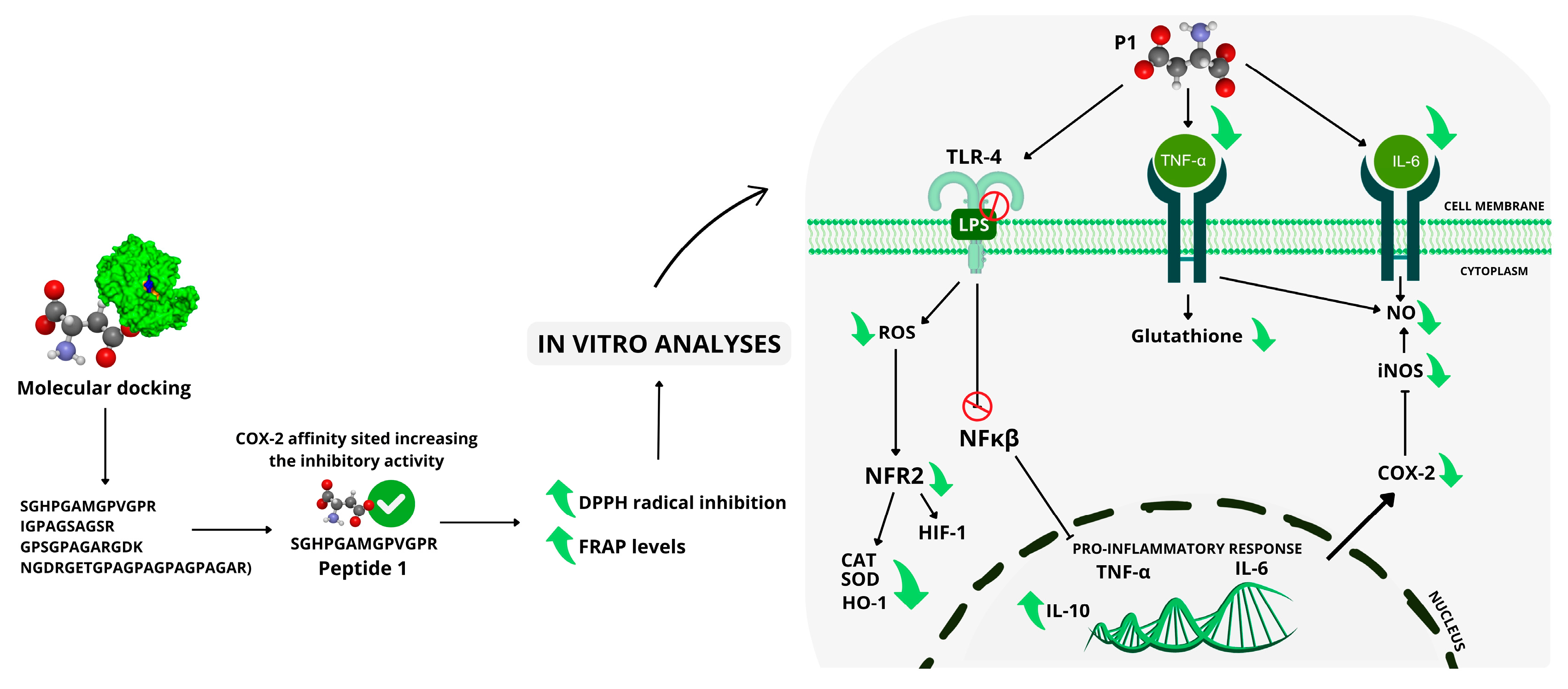 Molecules 30 02223 g013