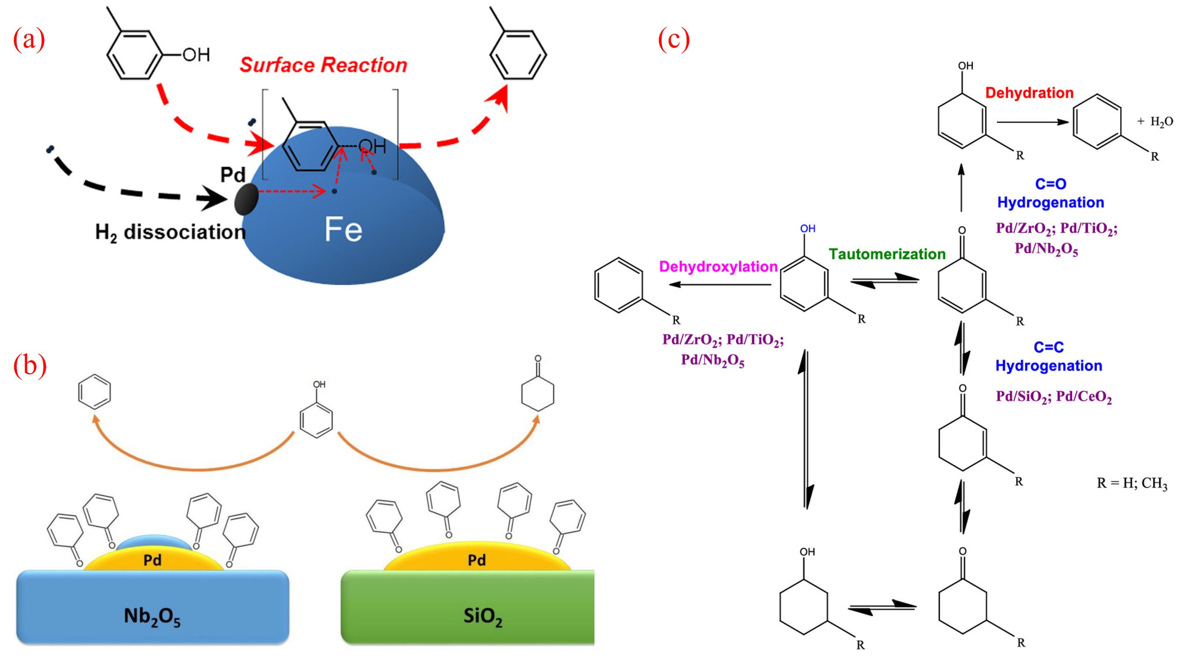 Molecules 30 02225 g002