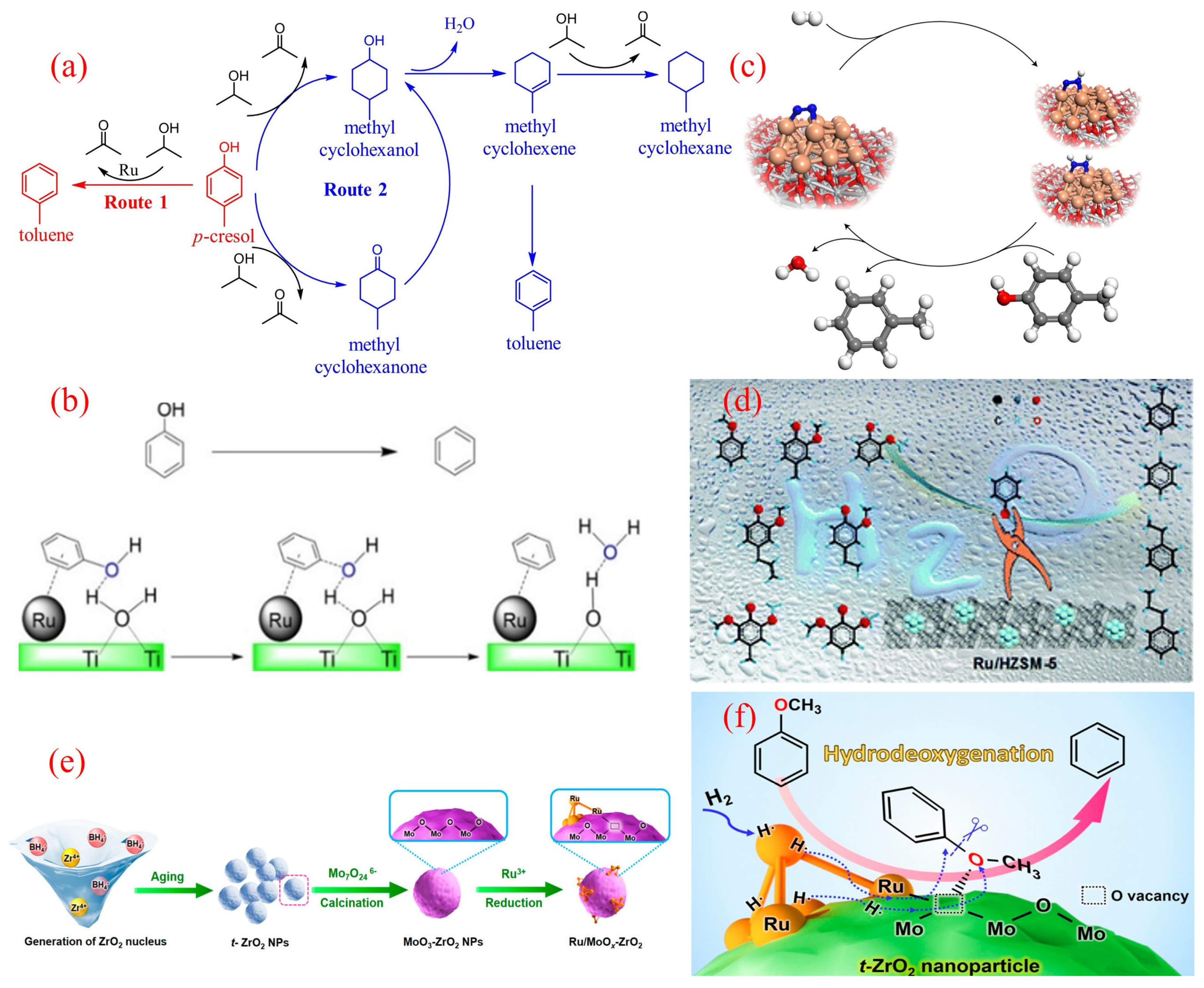 Molecules 30 02225 g003
