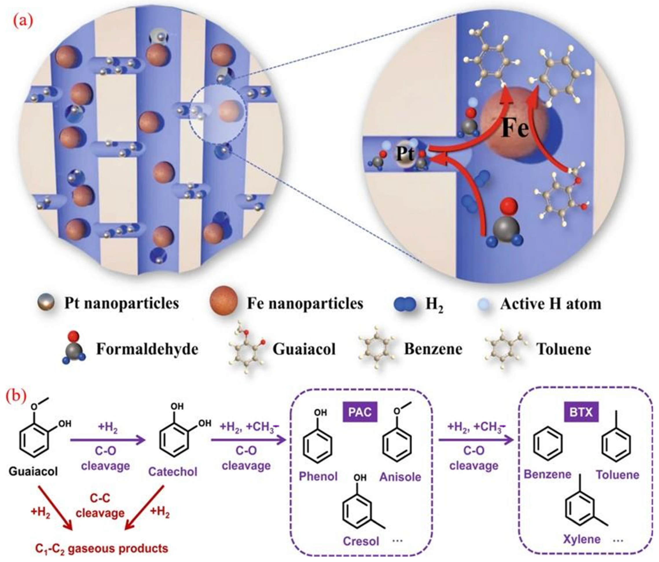 Molecules 30 02225 g006