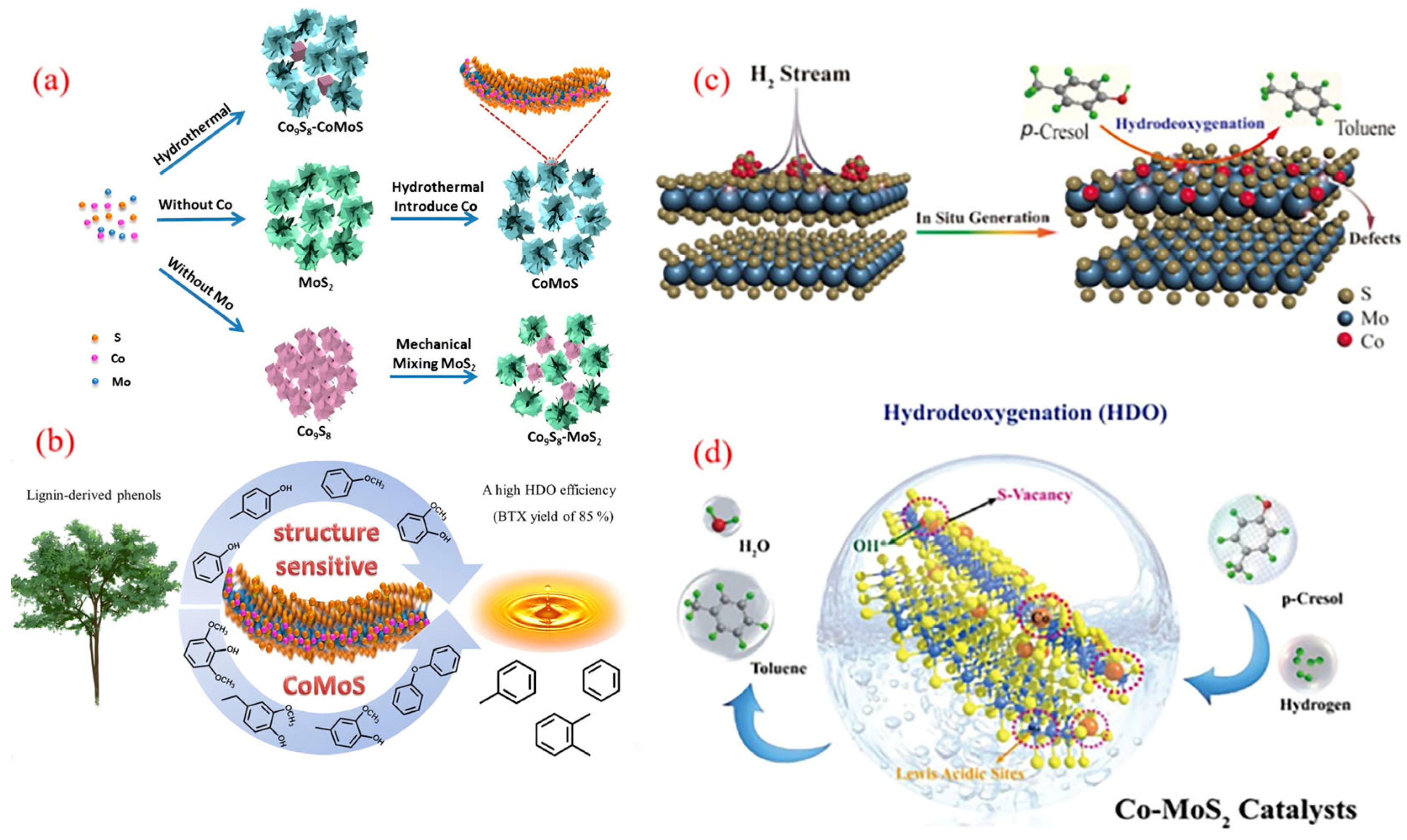 Molecules 30 02225 g009
