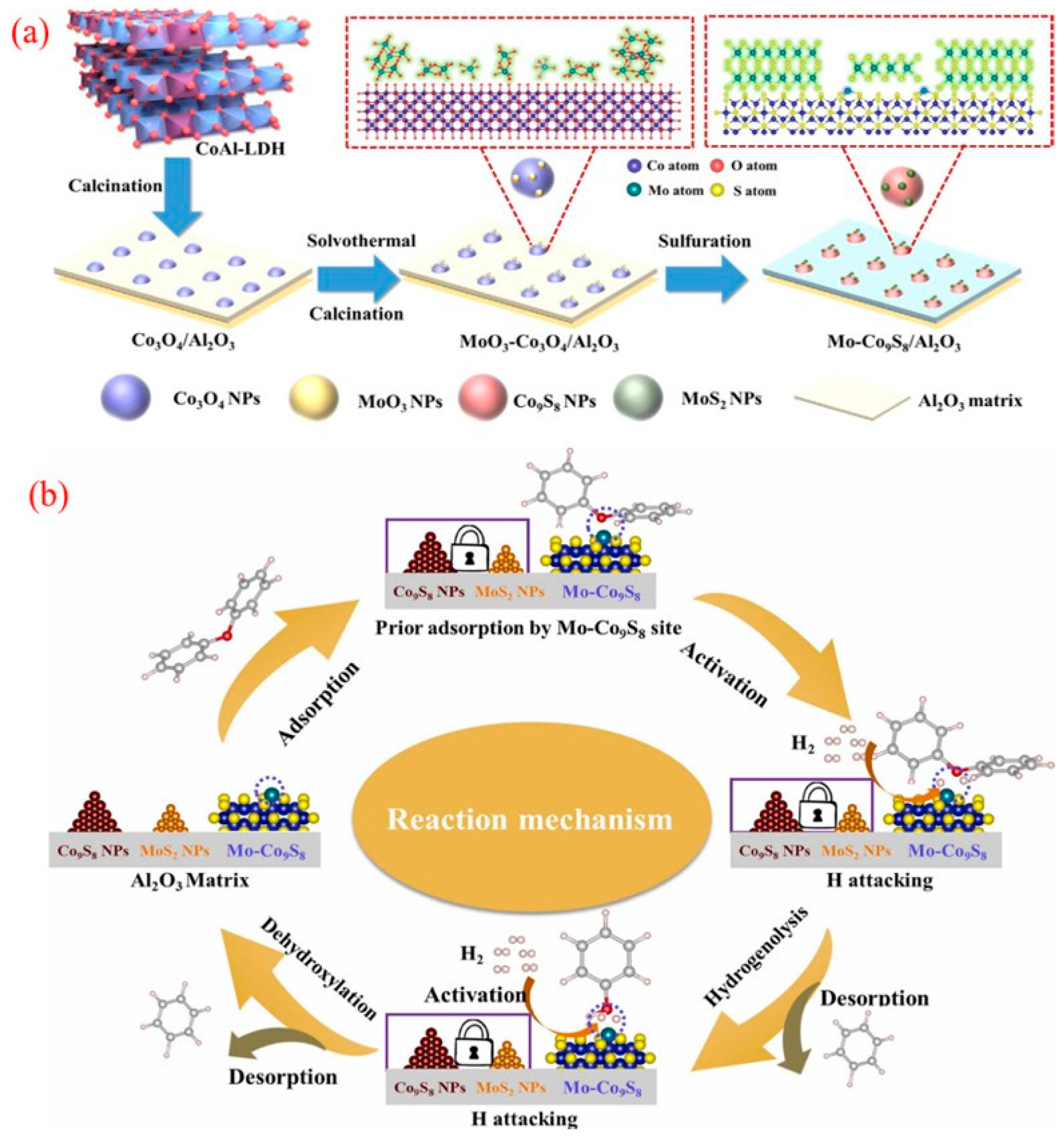 Molecules 30 02225 g010