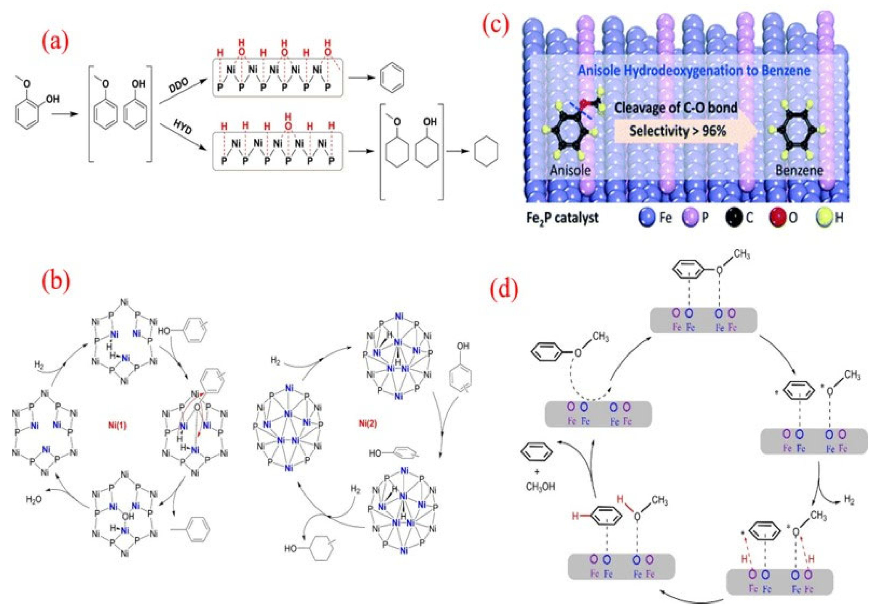 Molecules 30 02225 g011