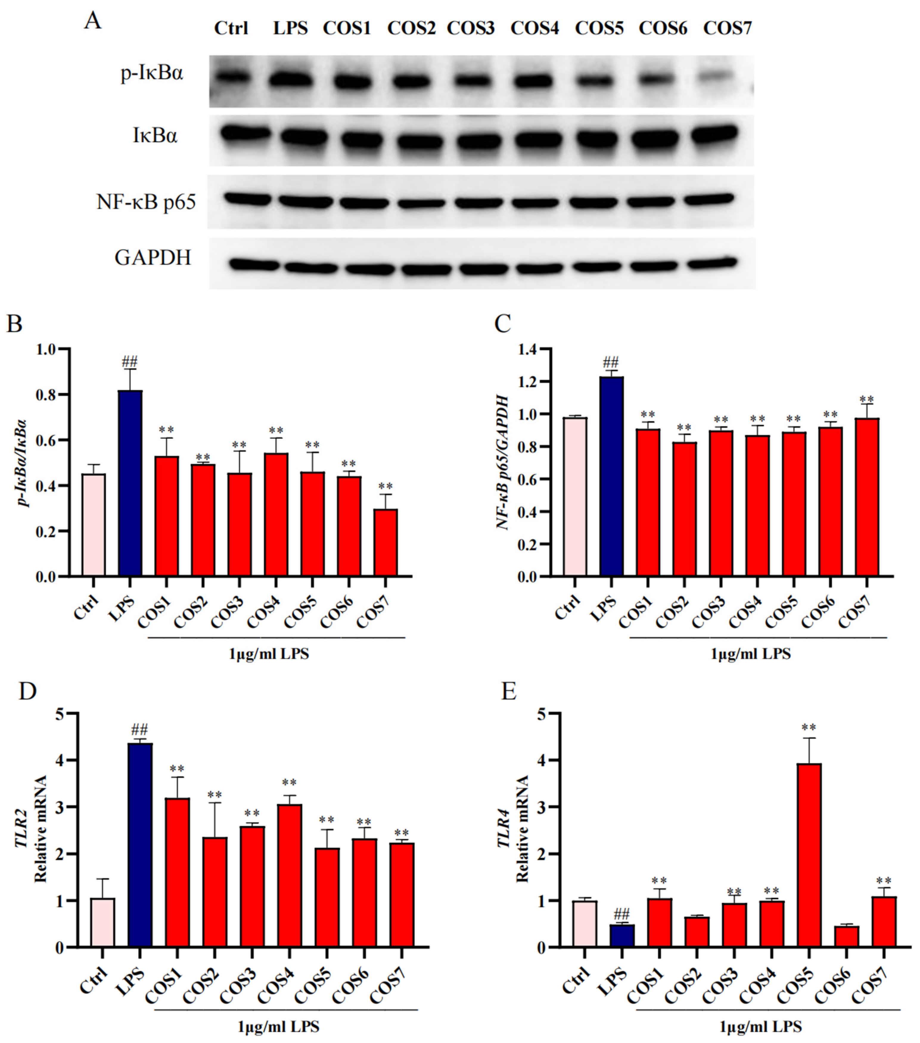 Molecules 30 02226 g004