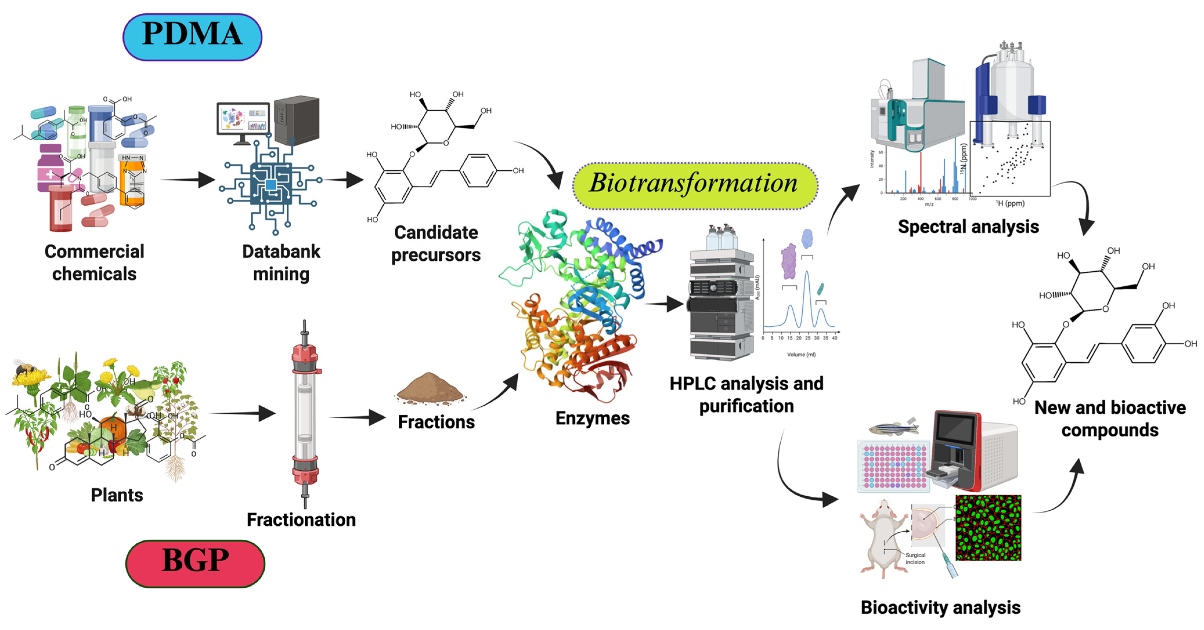 Molecules 30 02228 g001