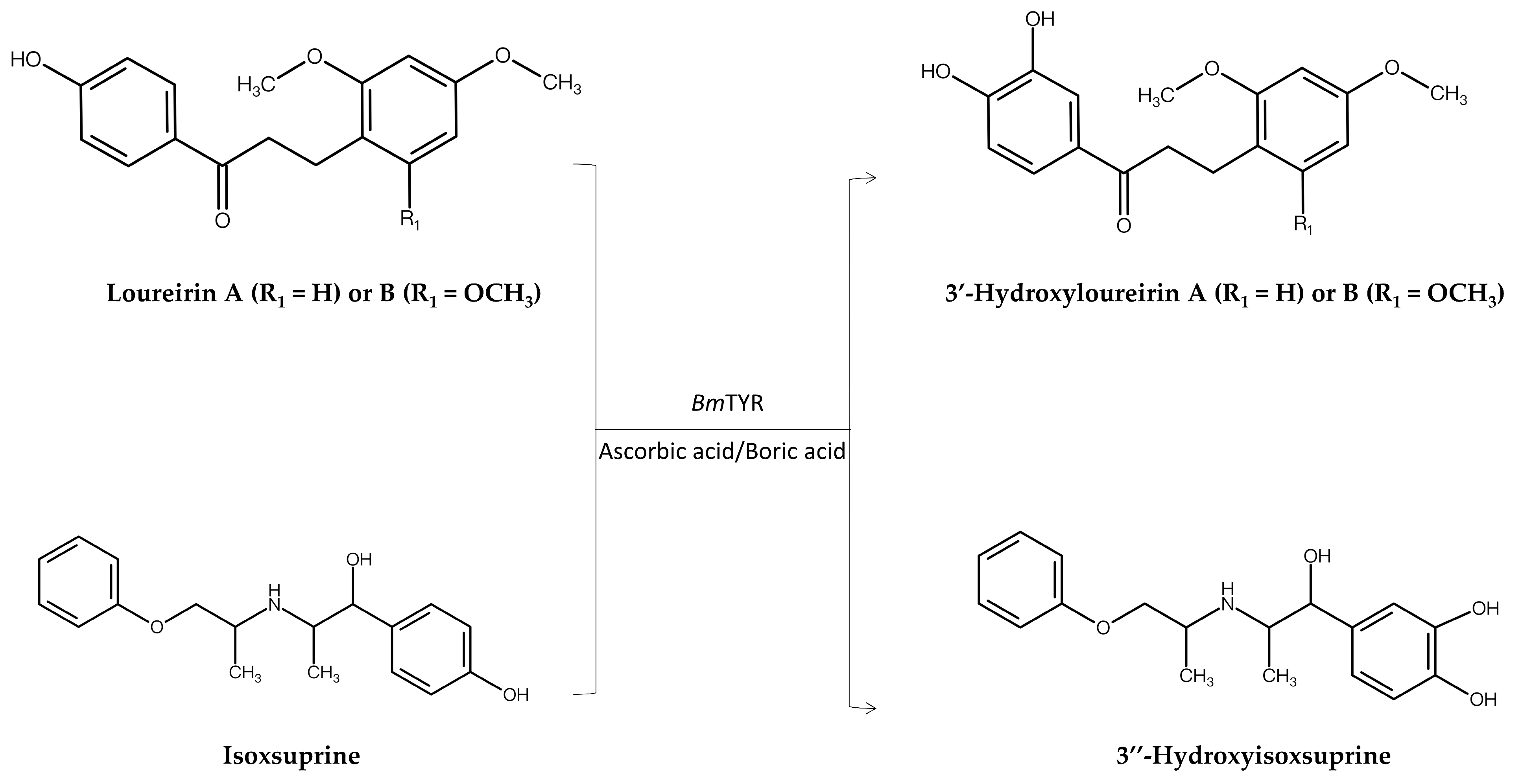 Molecules 30 02228 g003