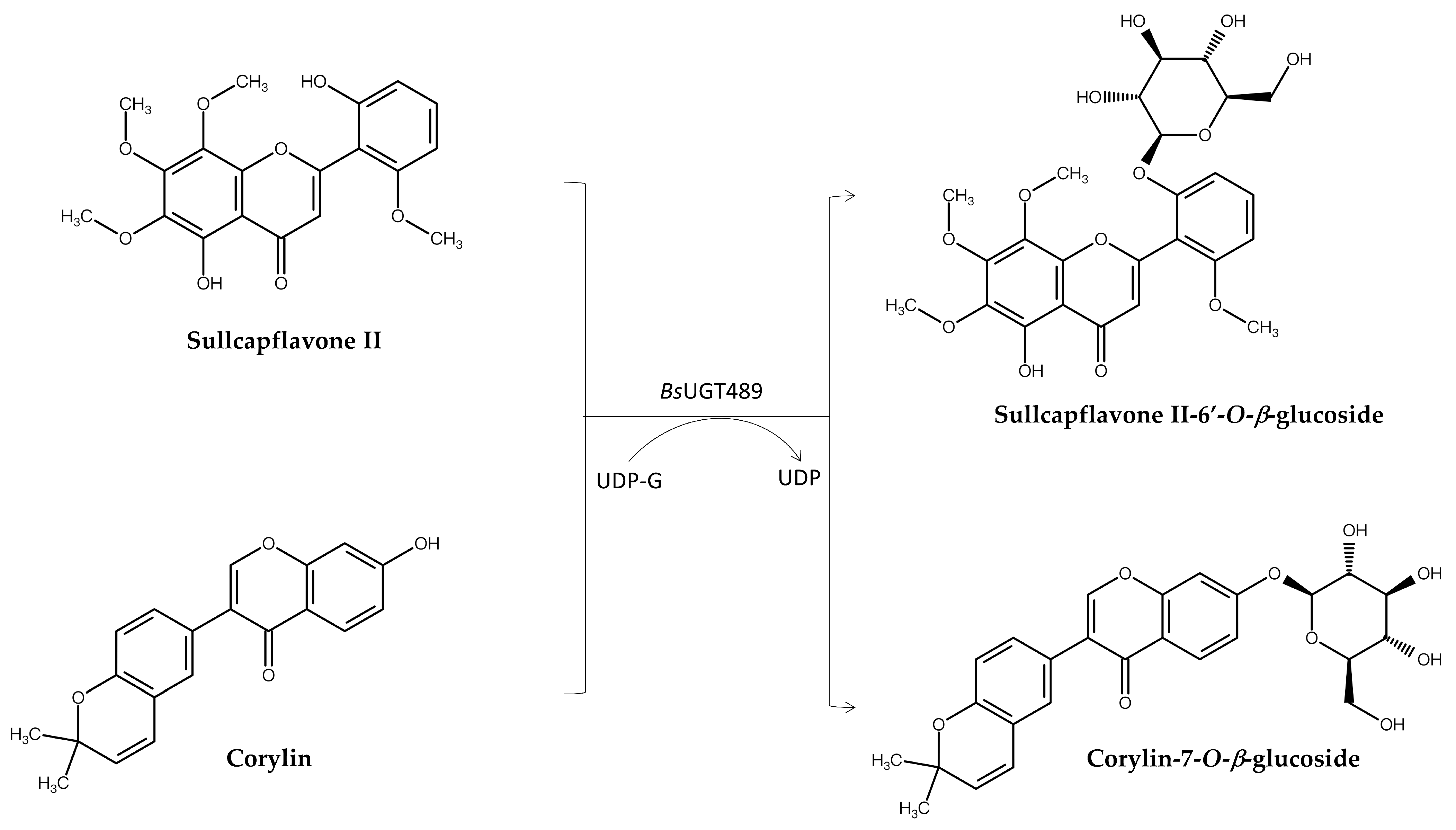 Molecules 30 02228 g004