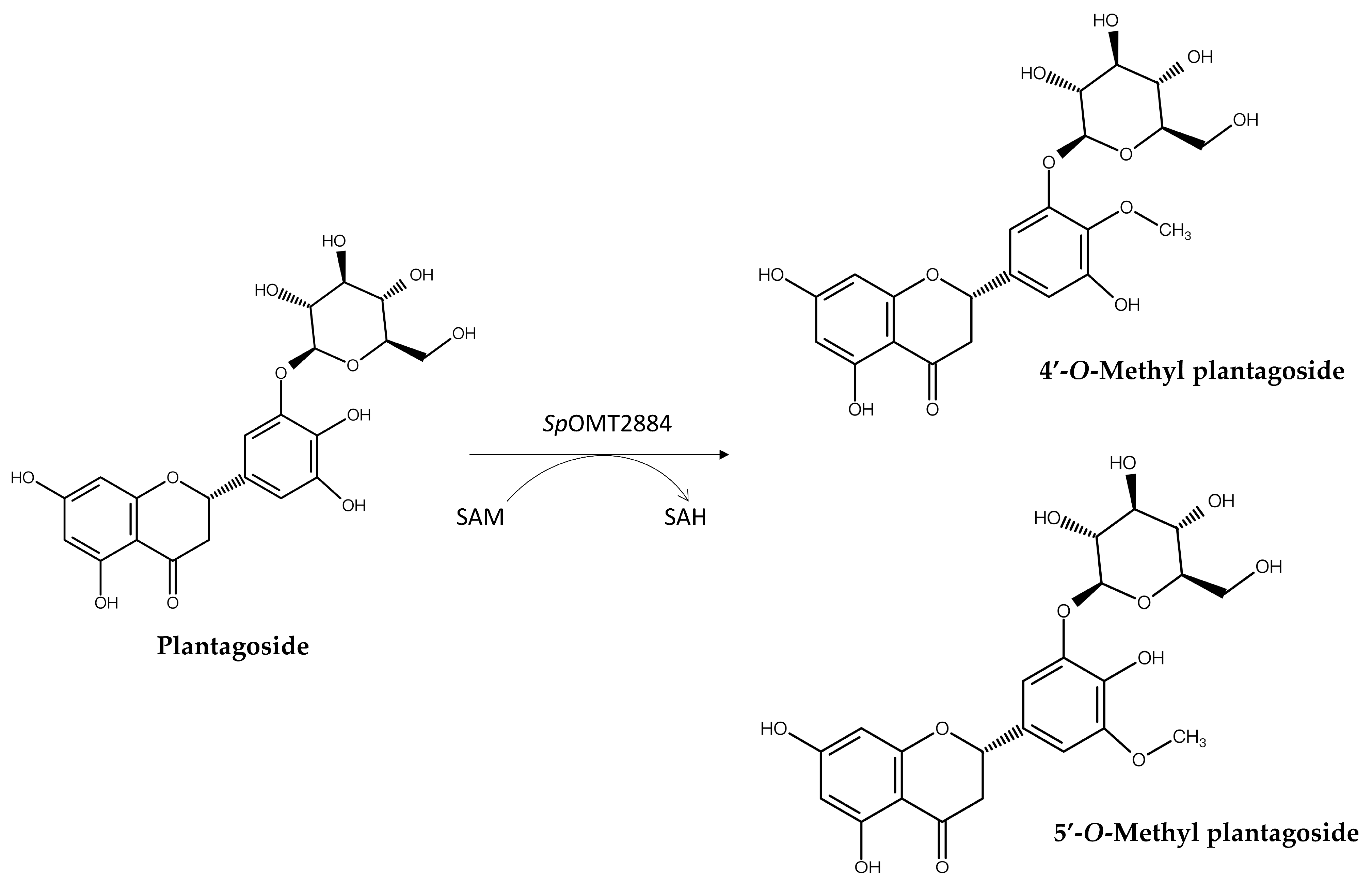 Molecules 30 02228 g005