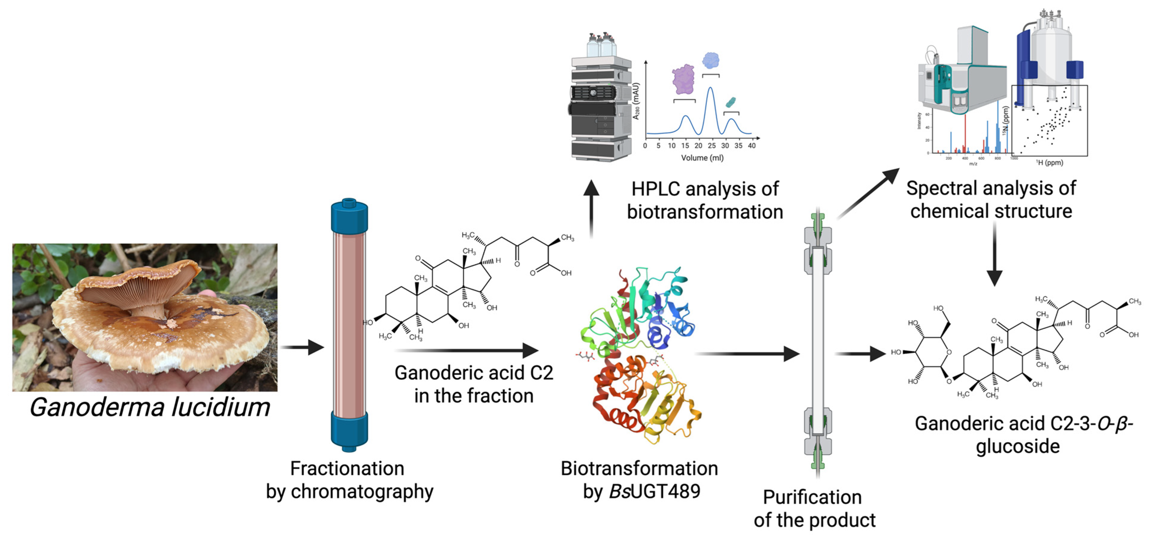 Molecules 30 02228 g007