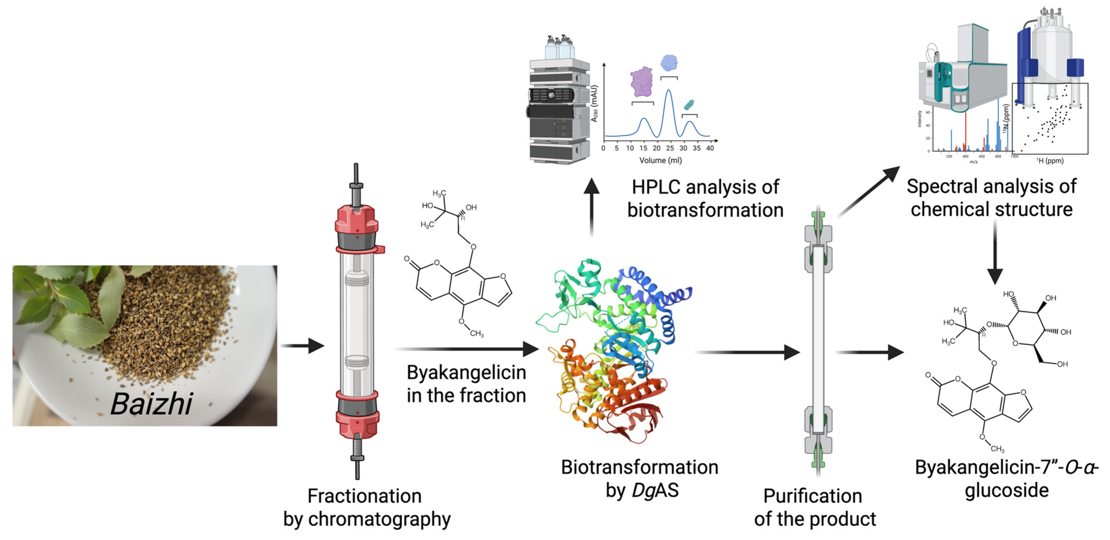 Molecules 30 02228 g008