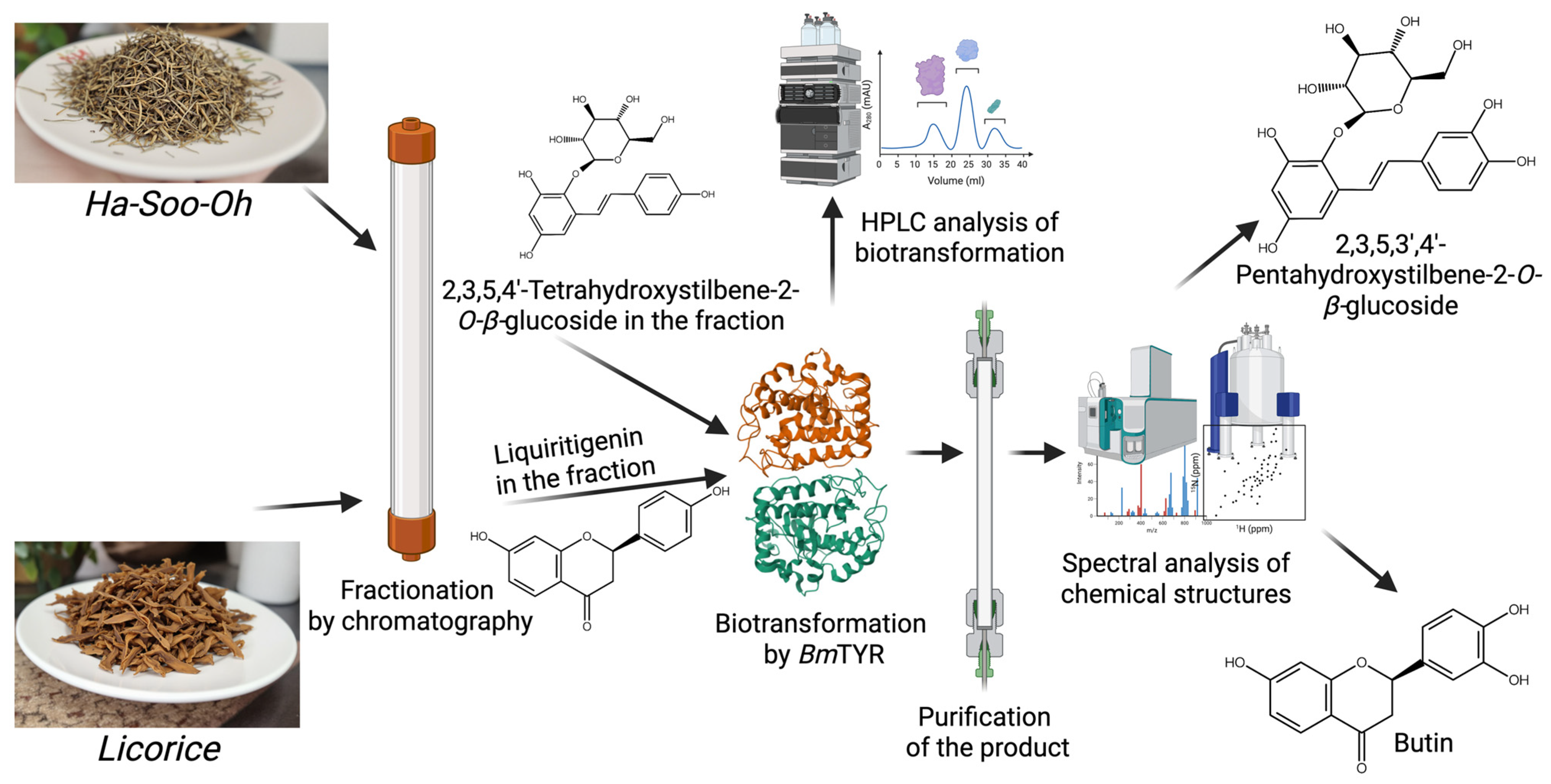 Molecules 30 02228 g009