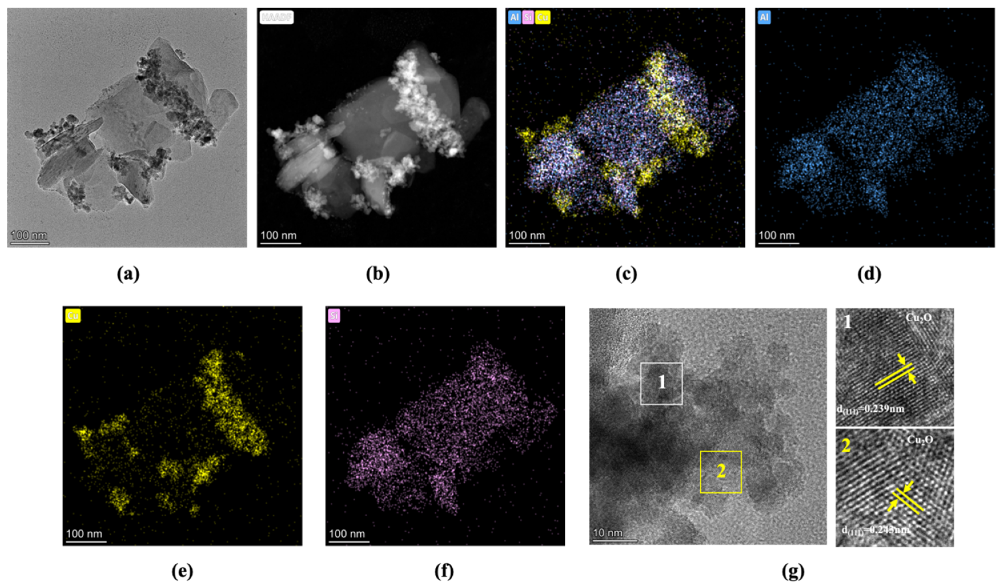 Molecules 30 02232 g003