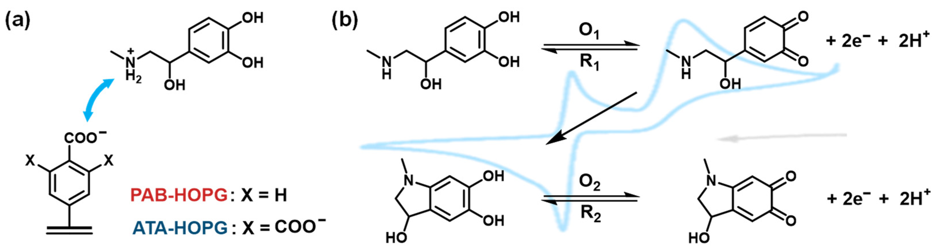 Towards a Rational Design of Biosensors: Engineering