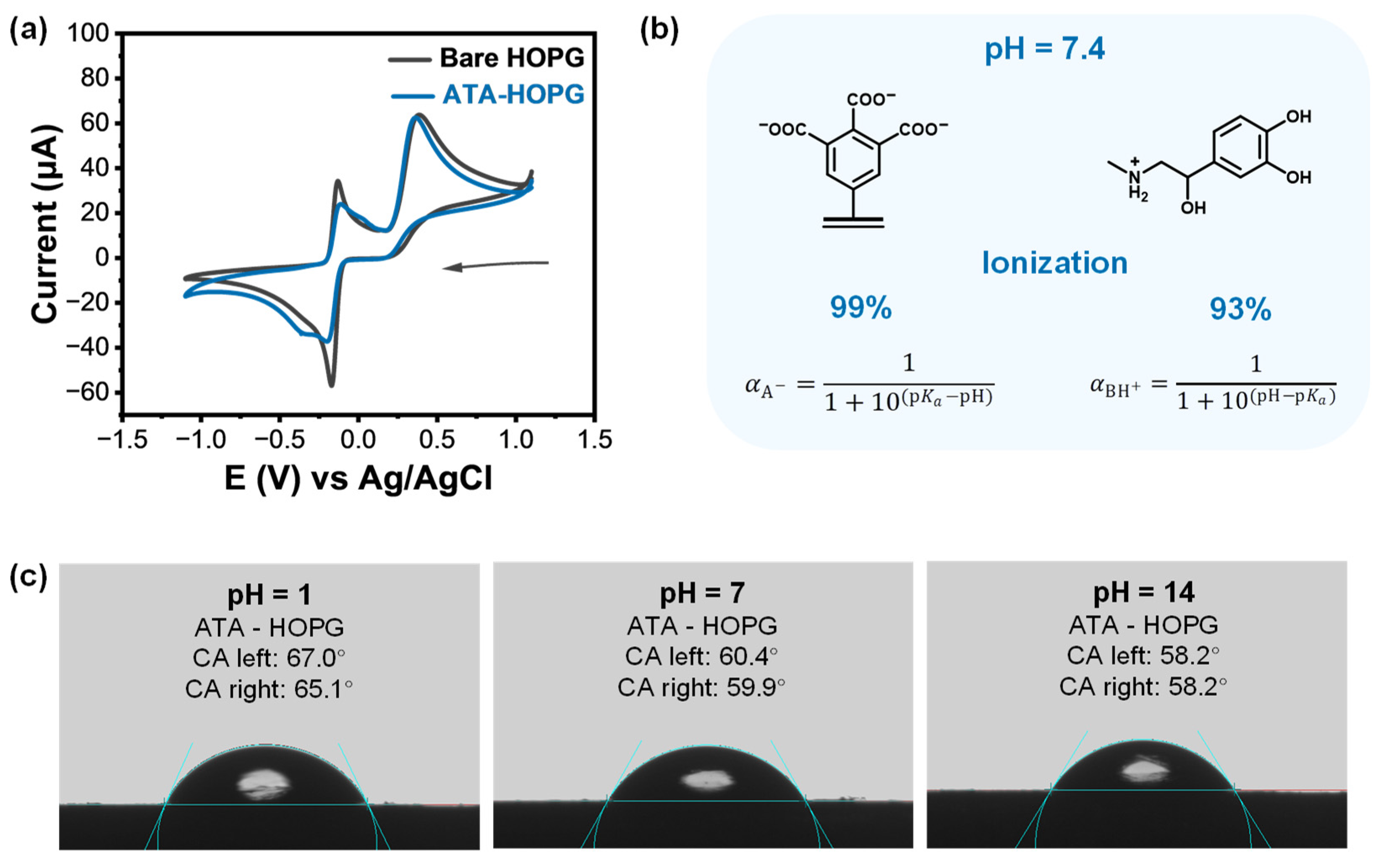 Molecules 30 02236 g005