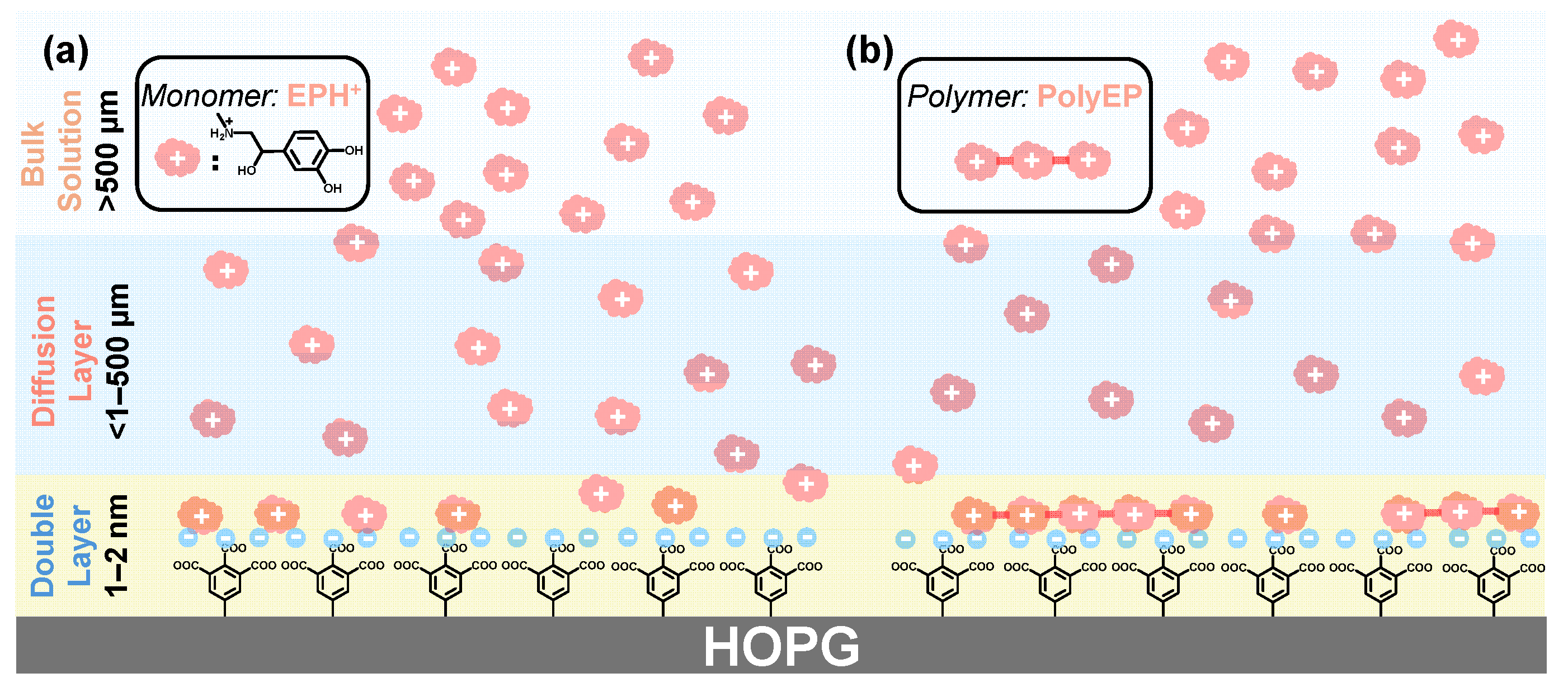 Molecules 30 02236 g007