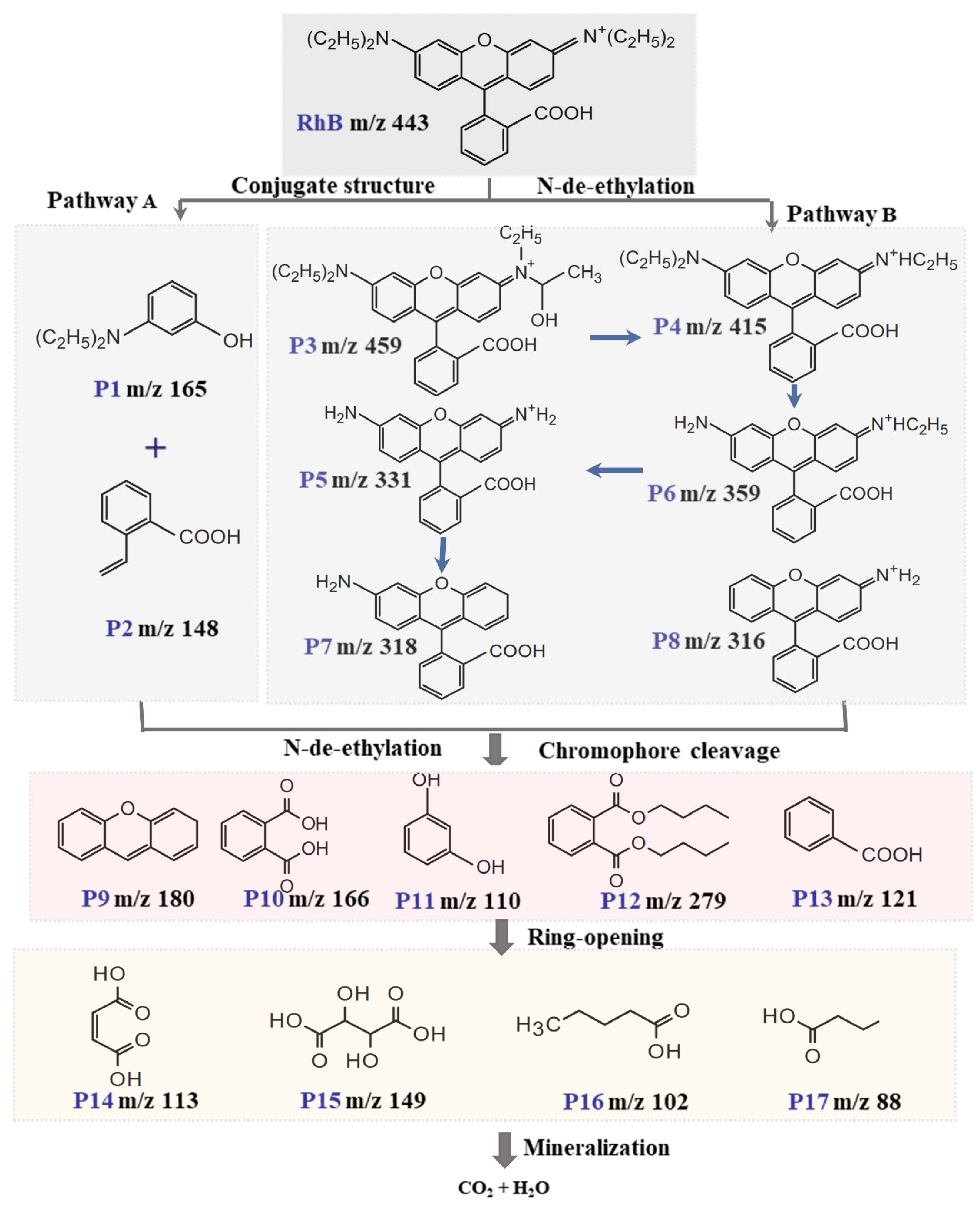 Molecules 30 02237 g009
