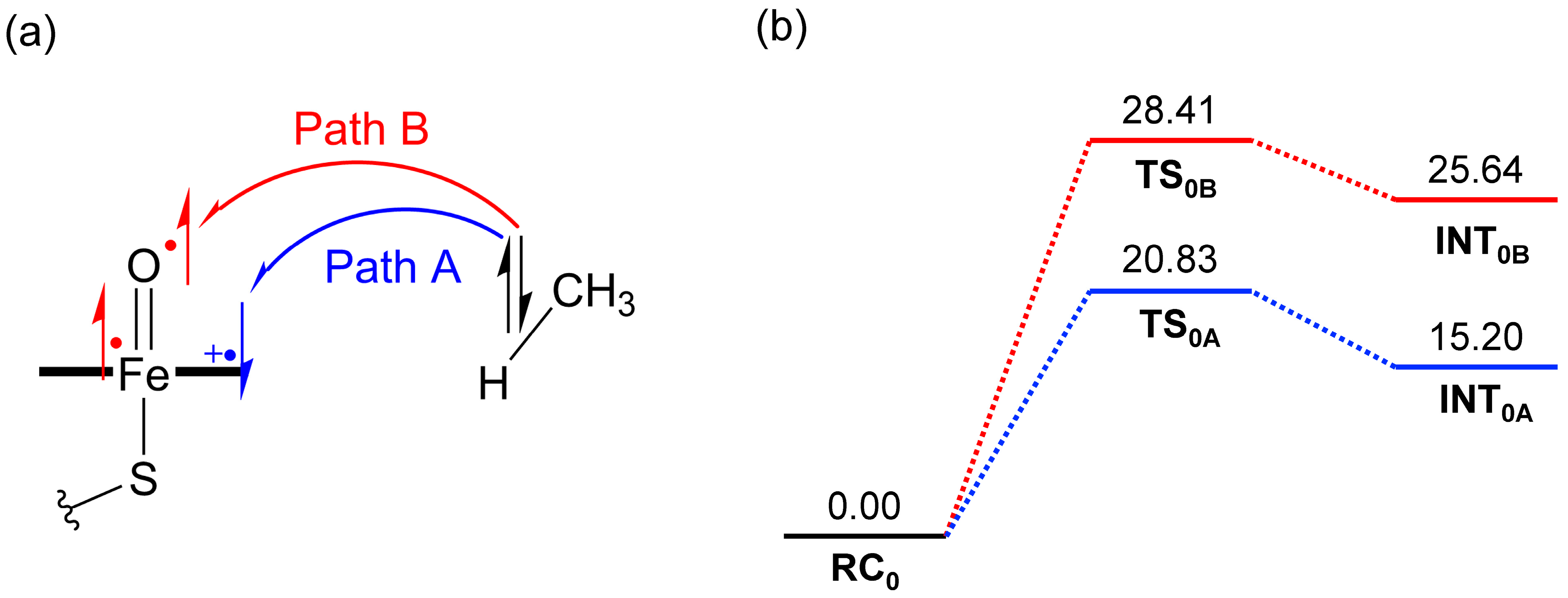Molecules 30 02242 g001