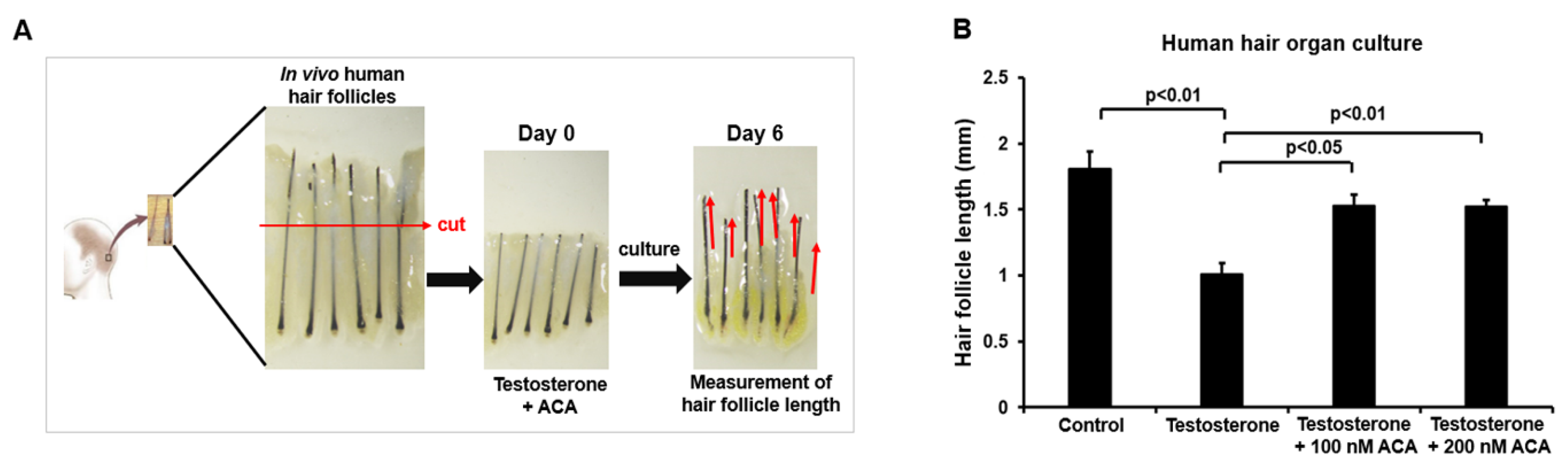 Molecules 30 02246 g005