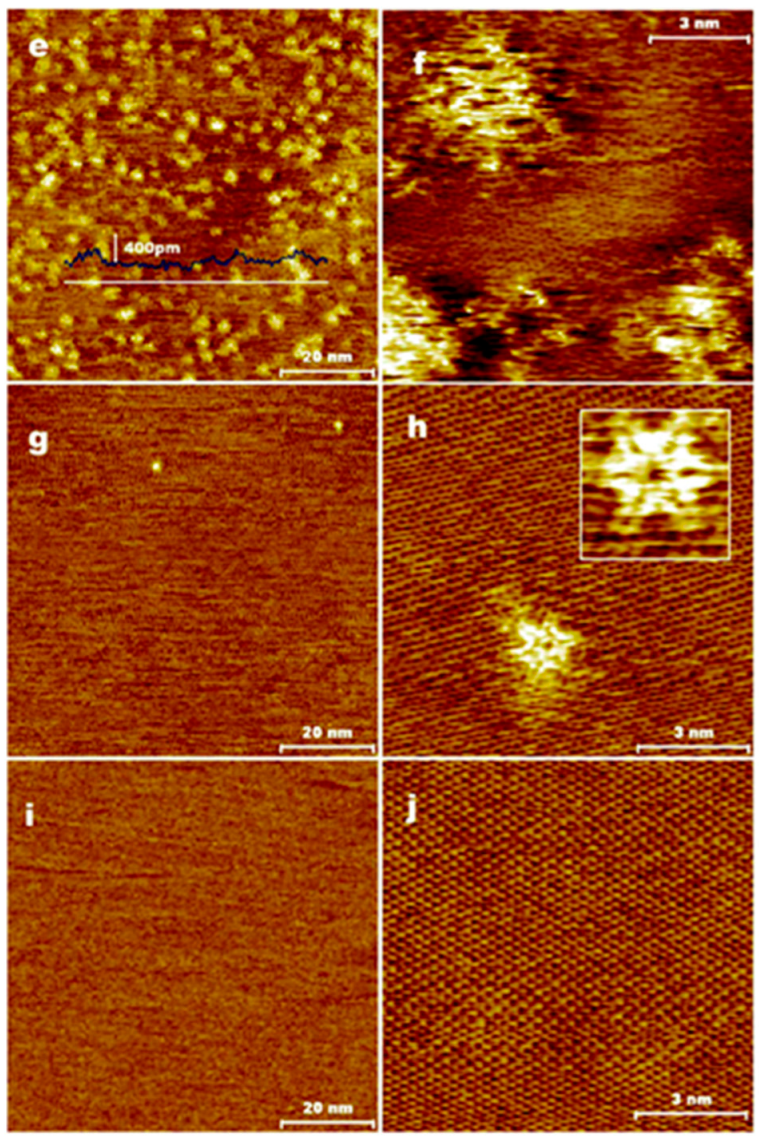 Molecules 30 02248 g025b