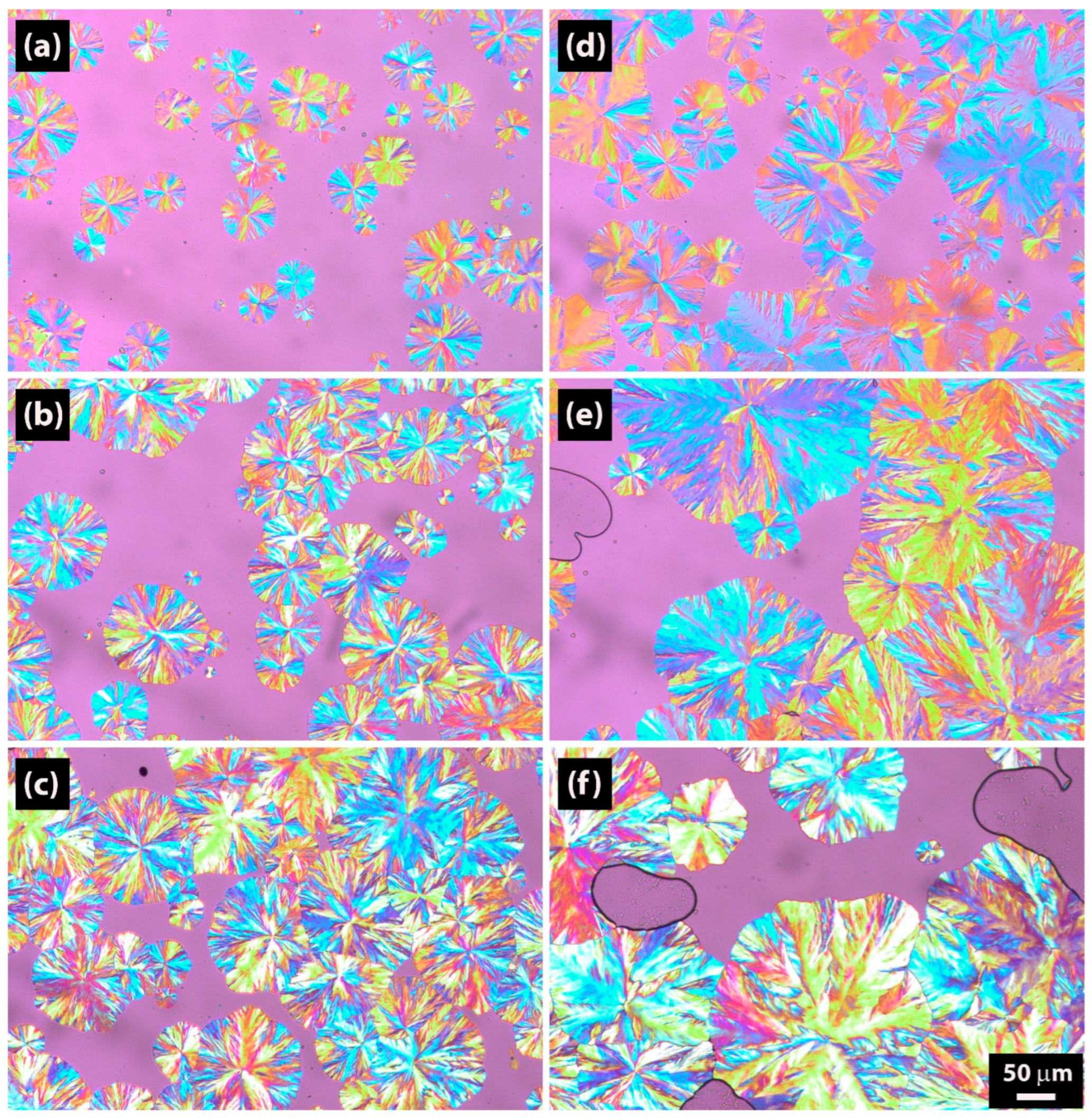 Molecules 30 02252 g012
