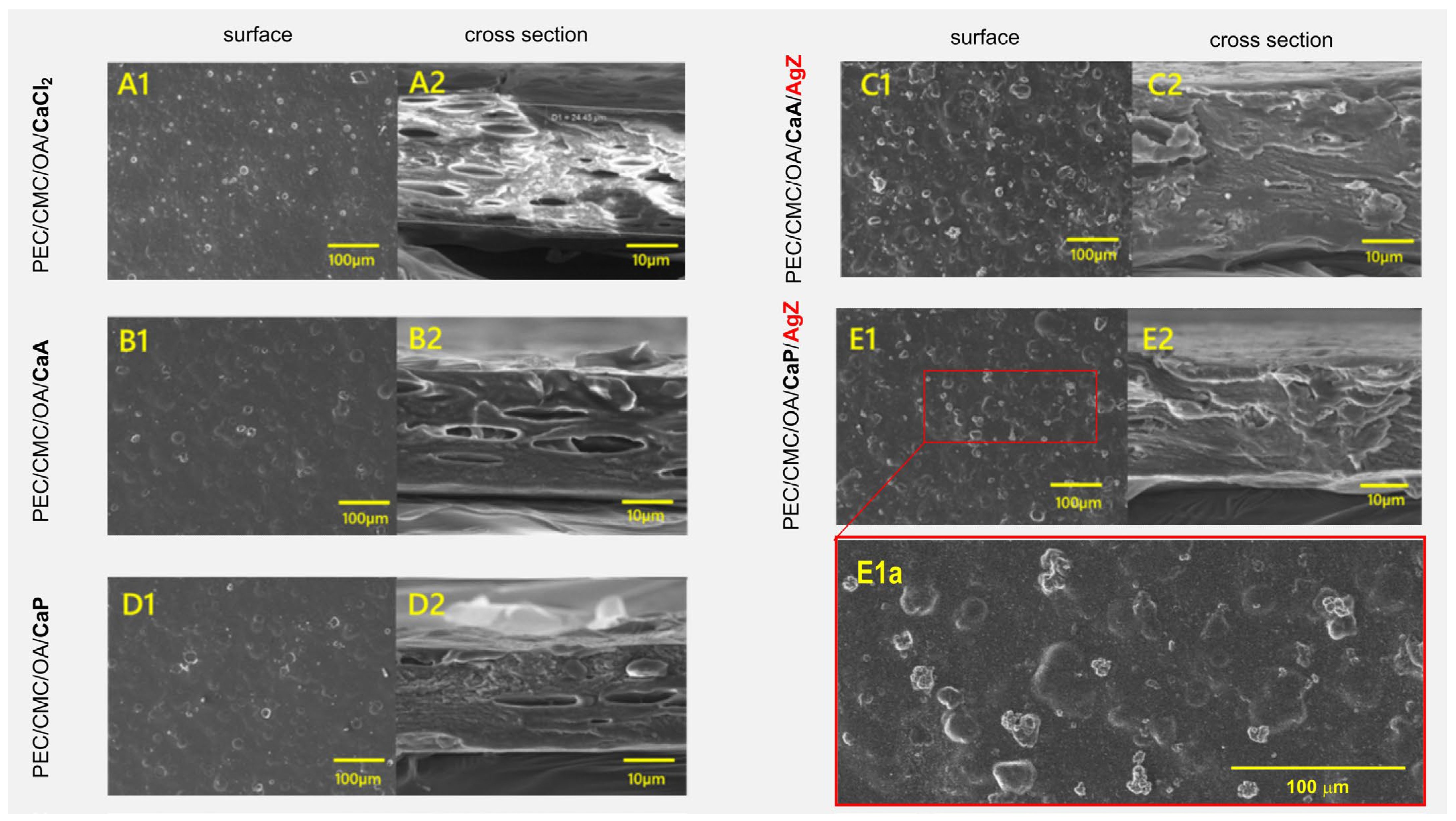 Molecules 30 02257 g004
