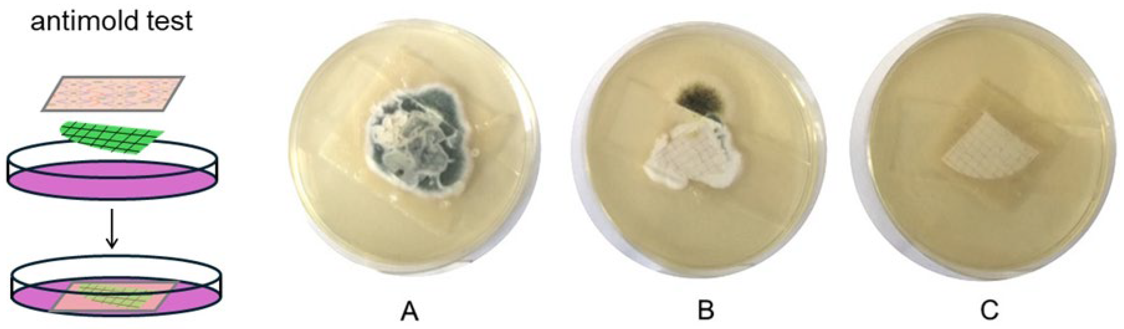 Molecules 30 02257 g005