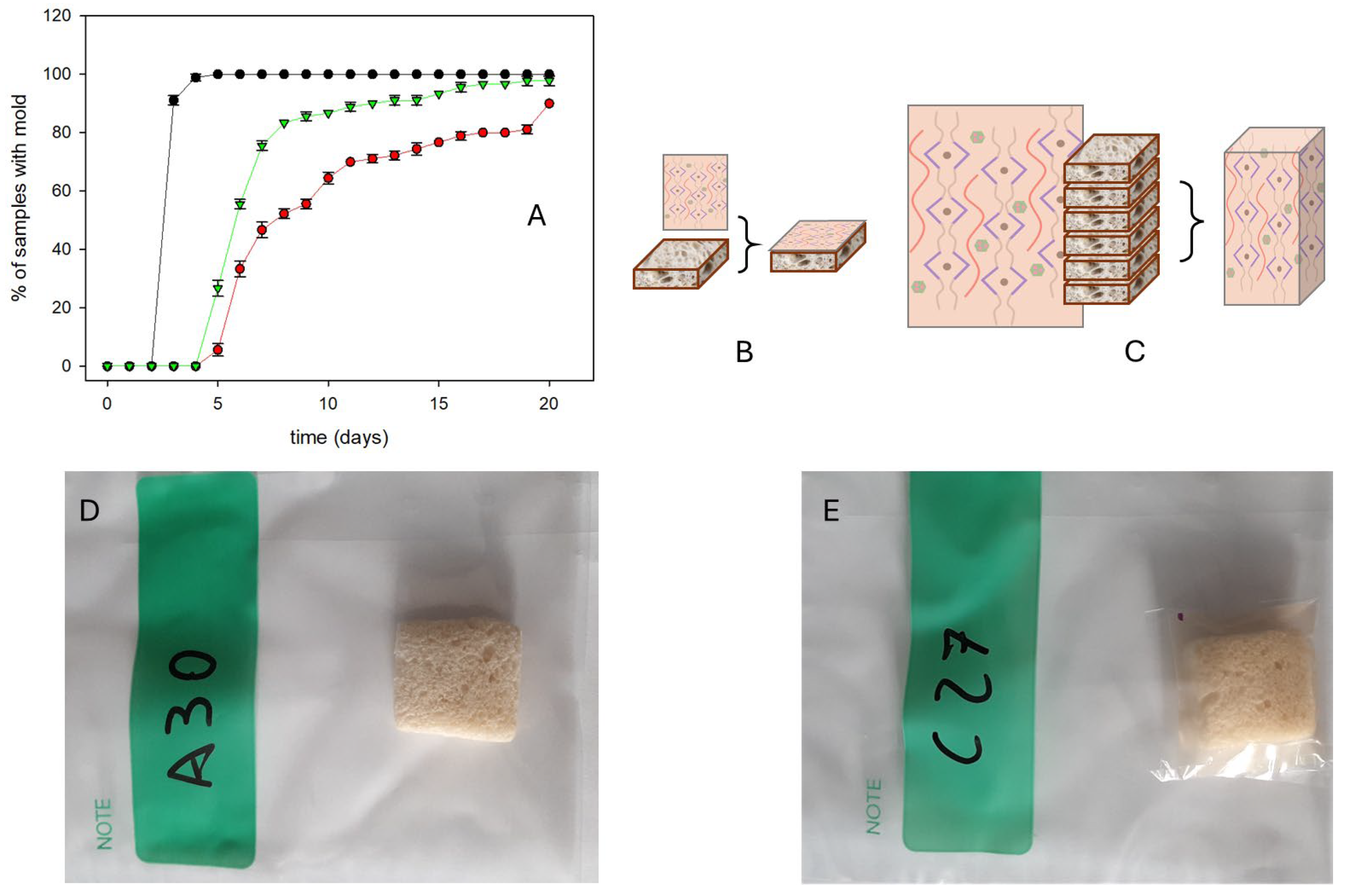 Molecules 30 02257 g006