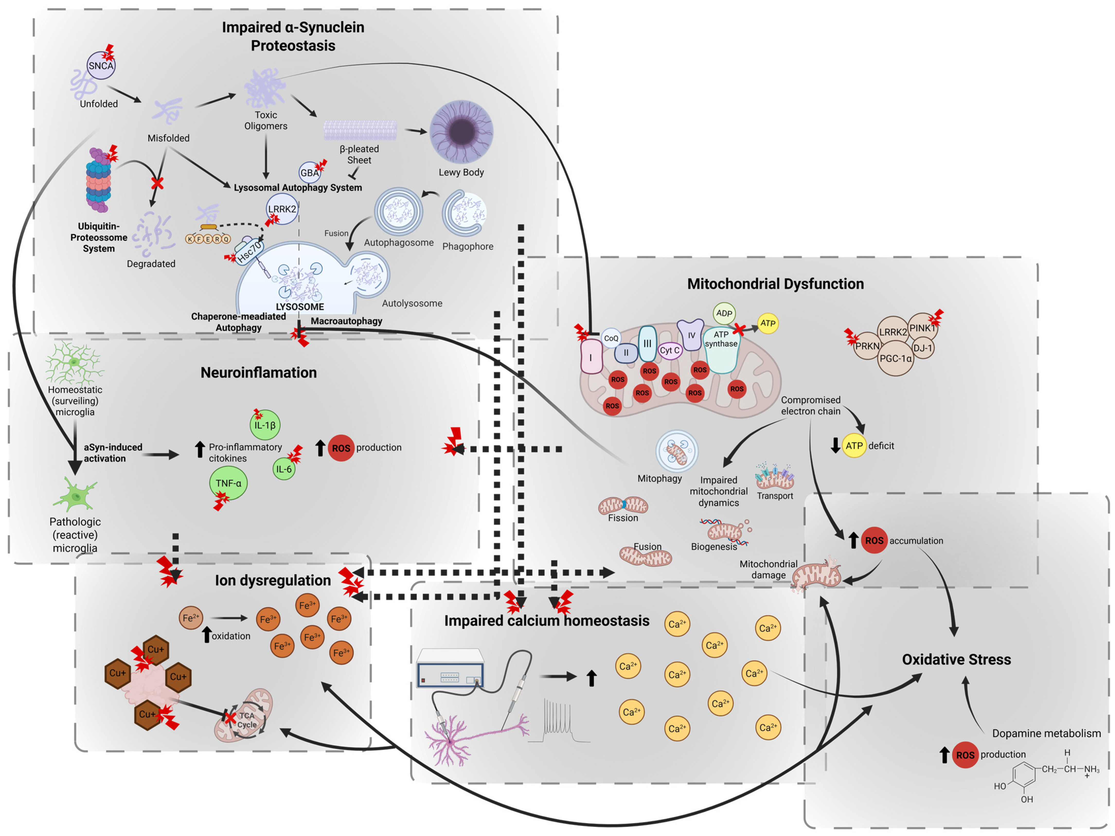 Molecules 30 02260 g001