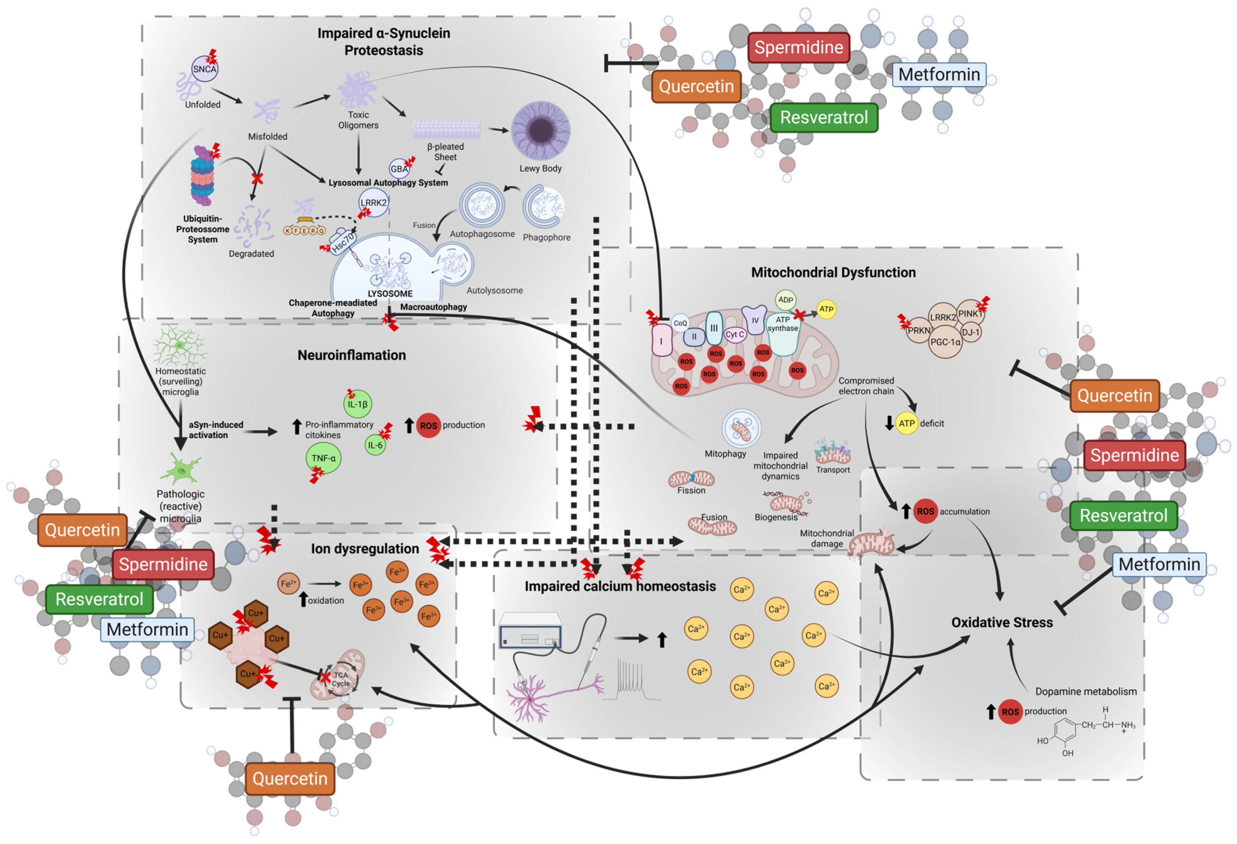 Molecules 30 02260 g002