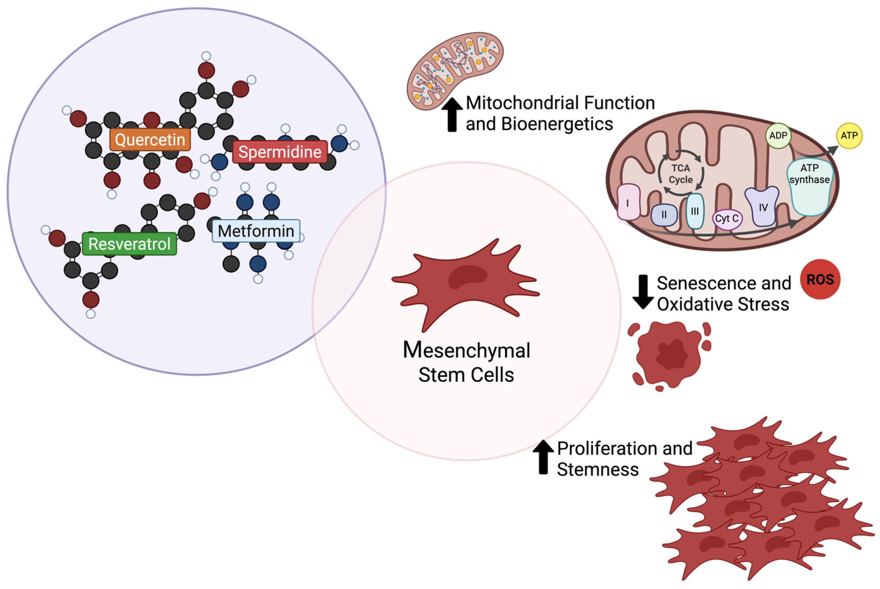 Molecules 30 02260 g003