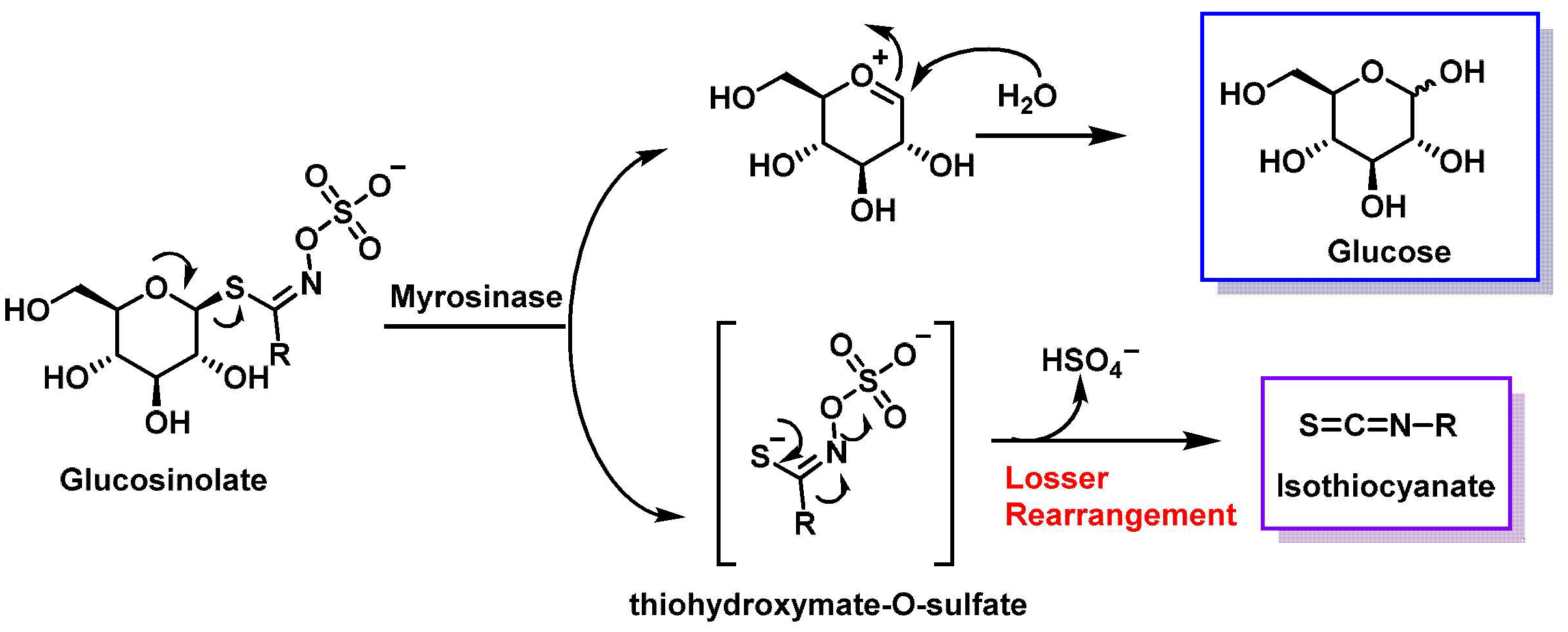 Molecules 30 02262 g004