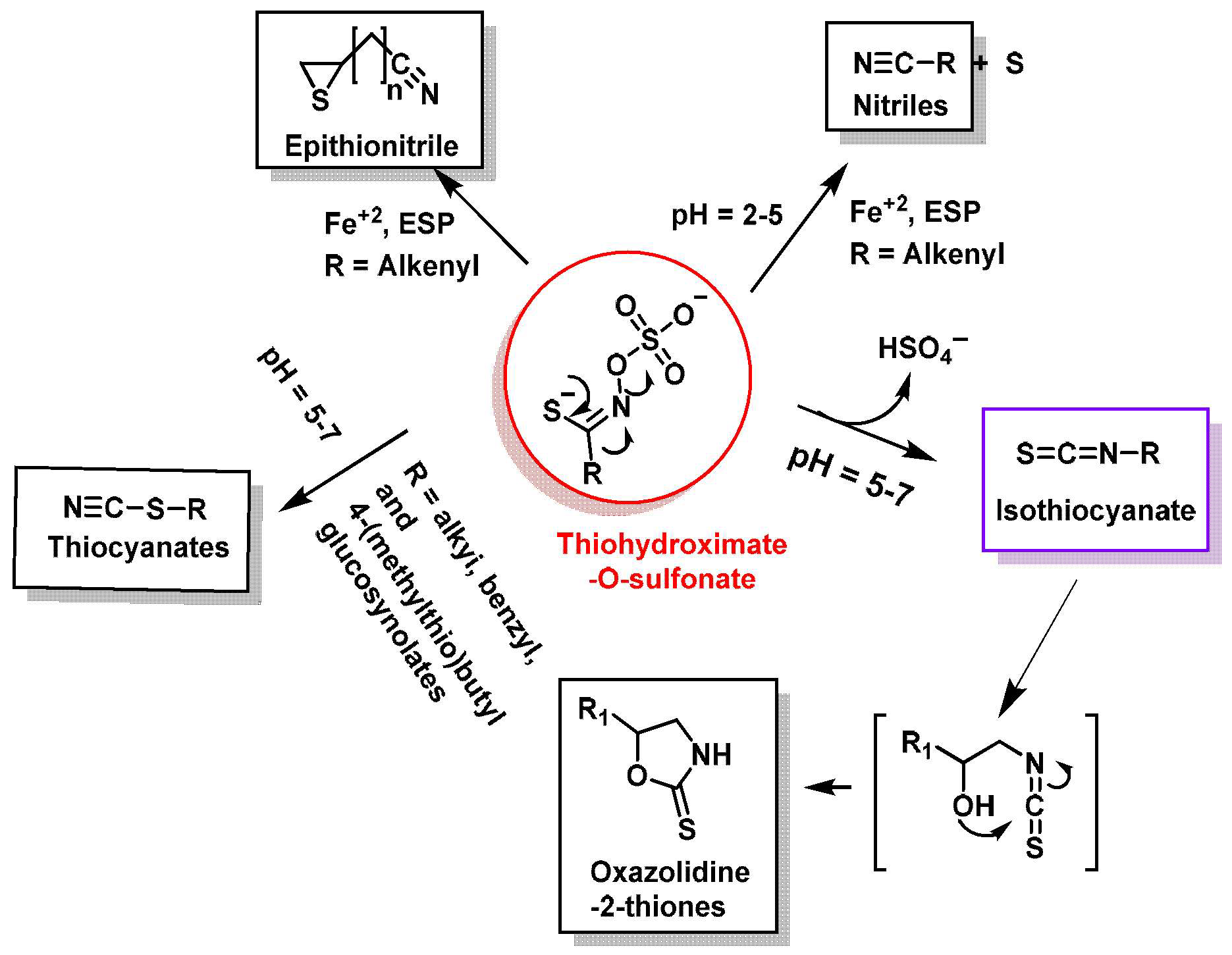 Molecules 30 02262 g005