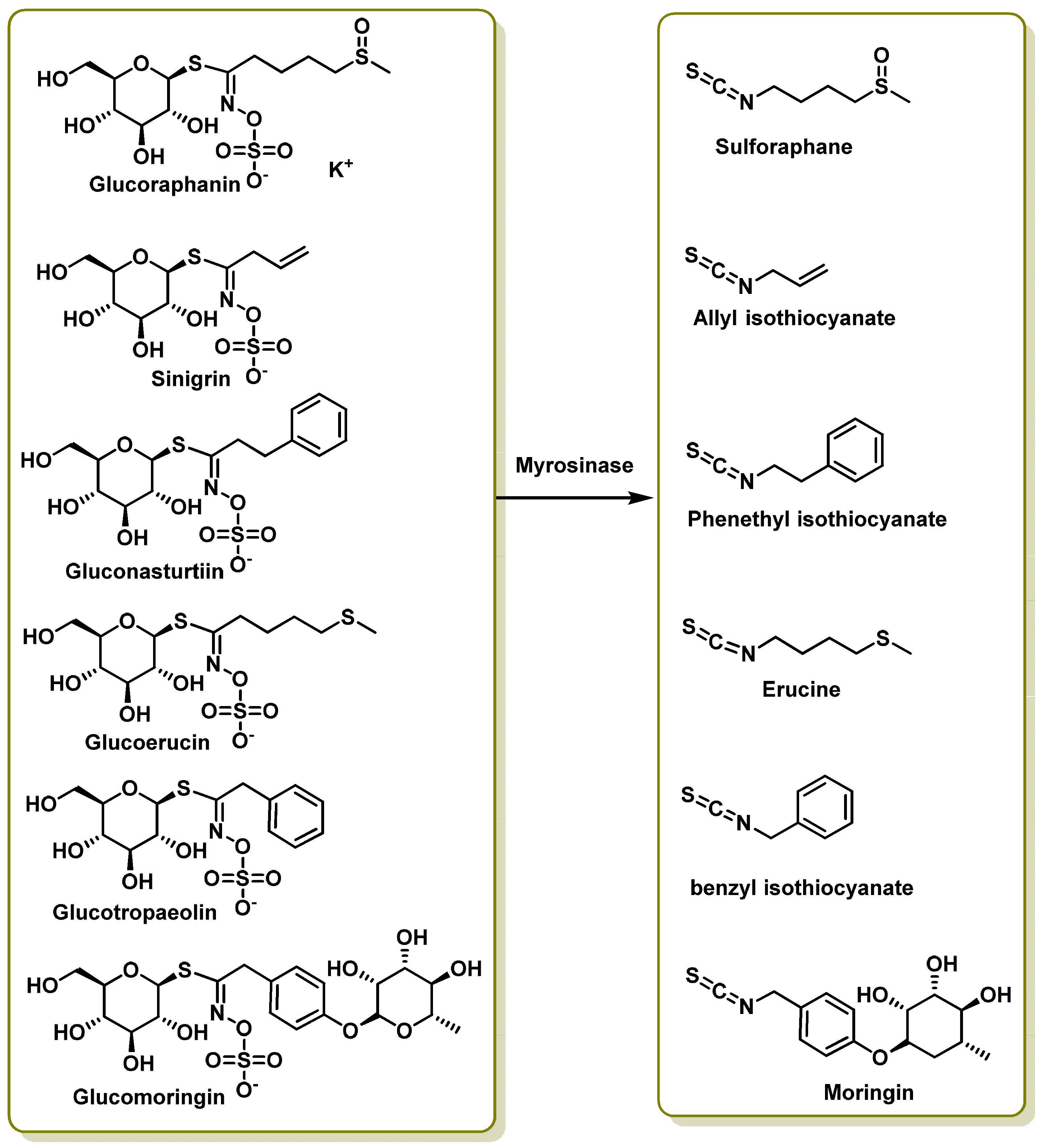 Molecules 30 02262 g007