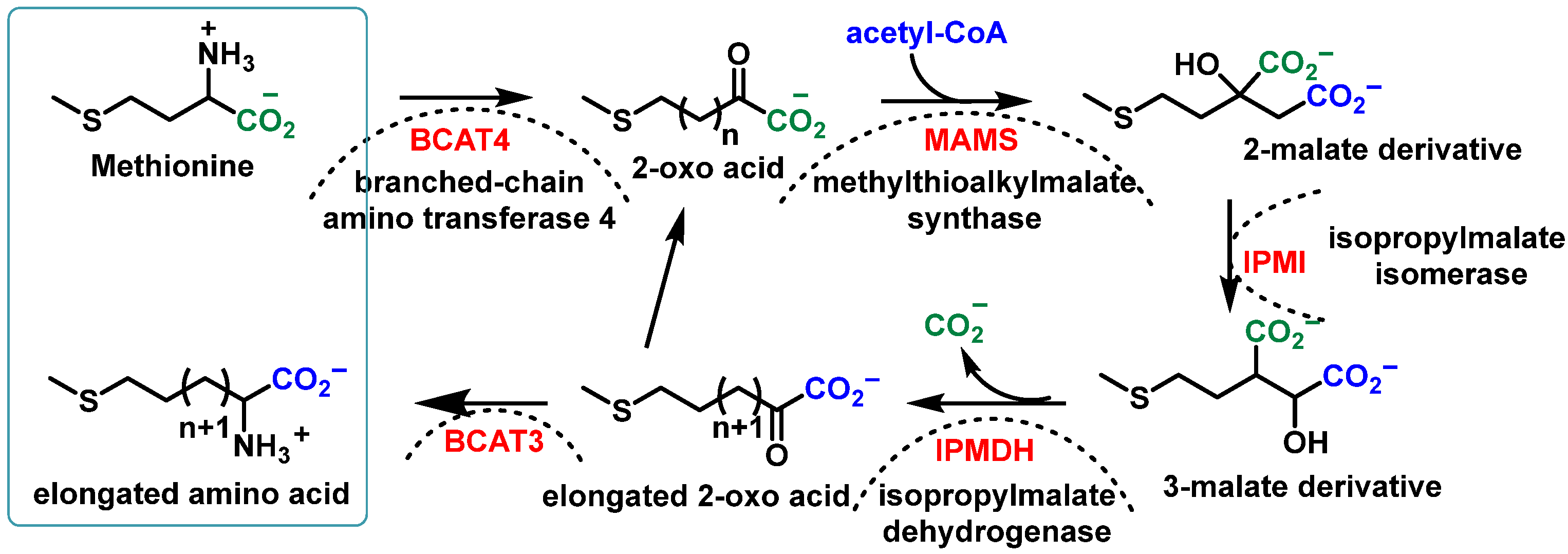 Molecules 30 02262 g008