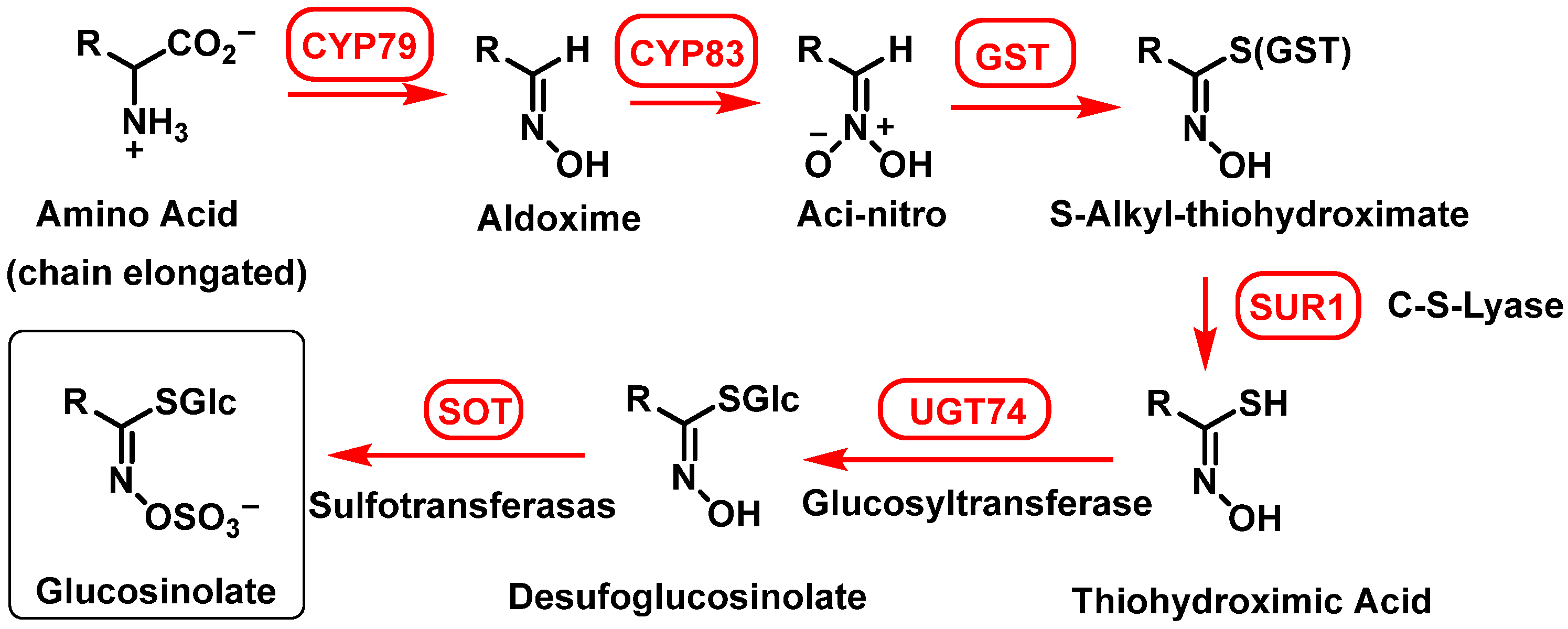 Molecules 30 02262 g009