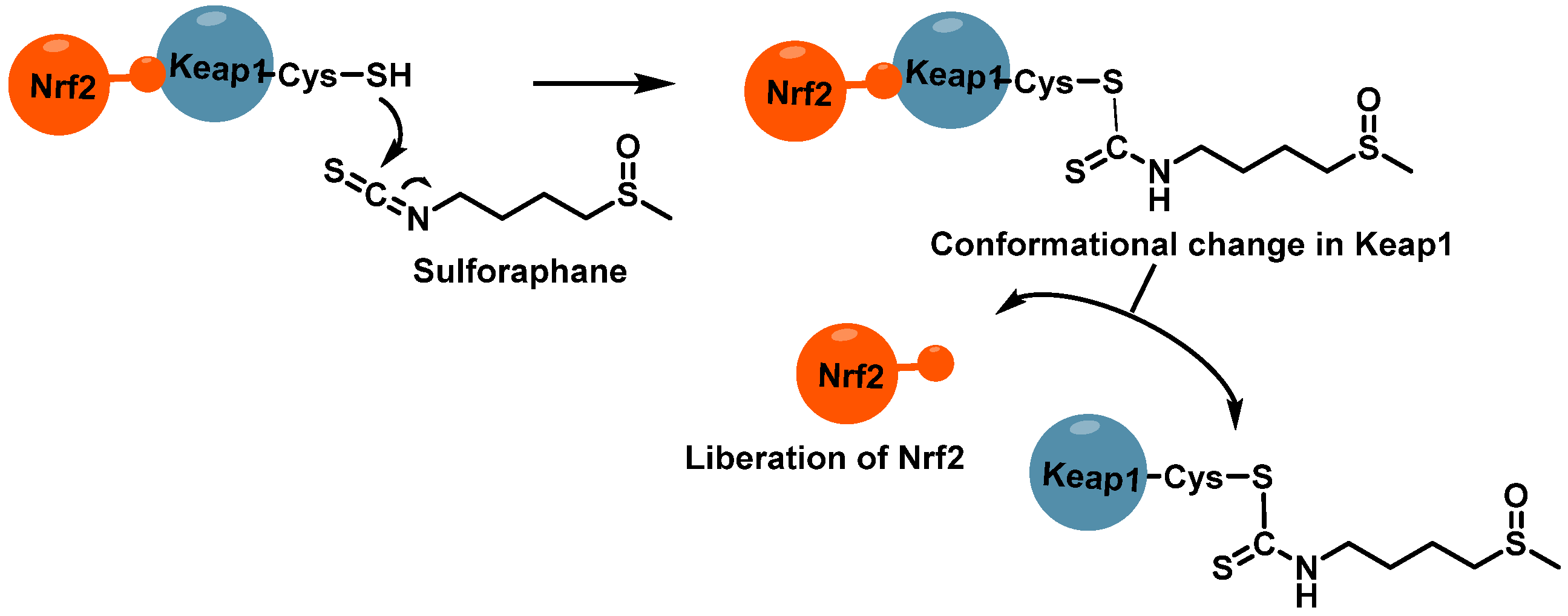 Molecules 30 02262 g014
