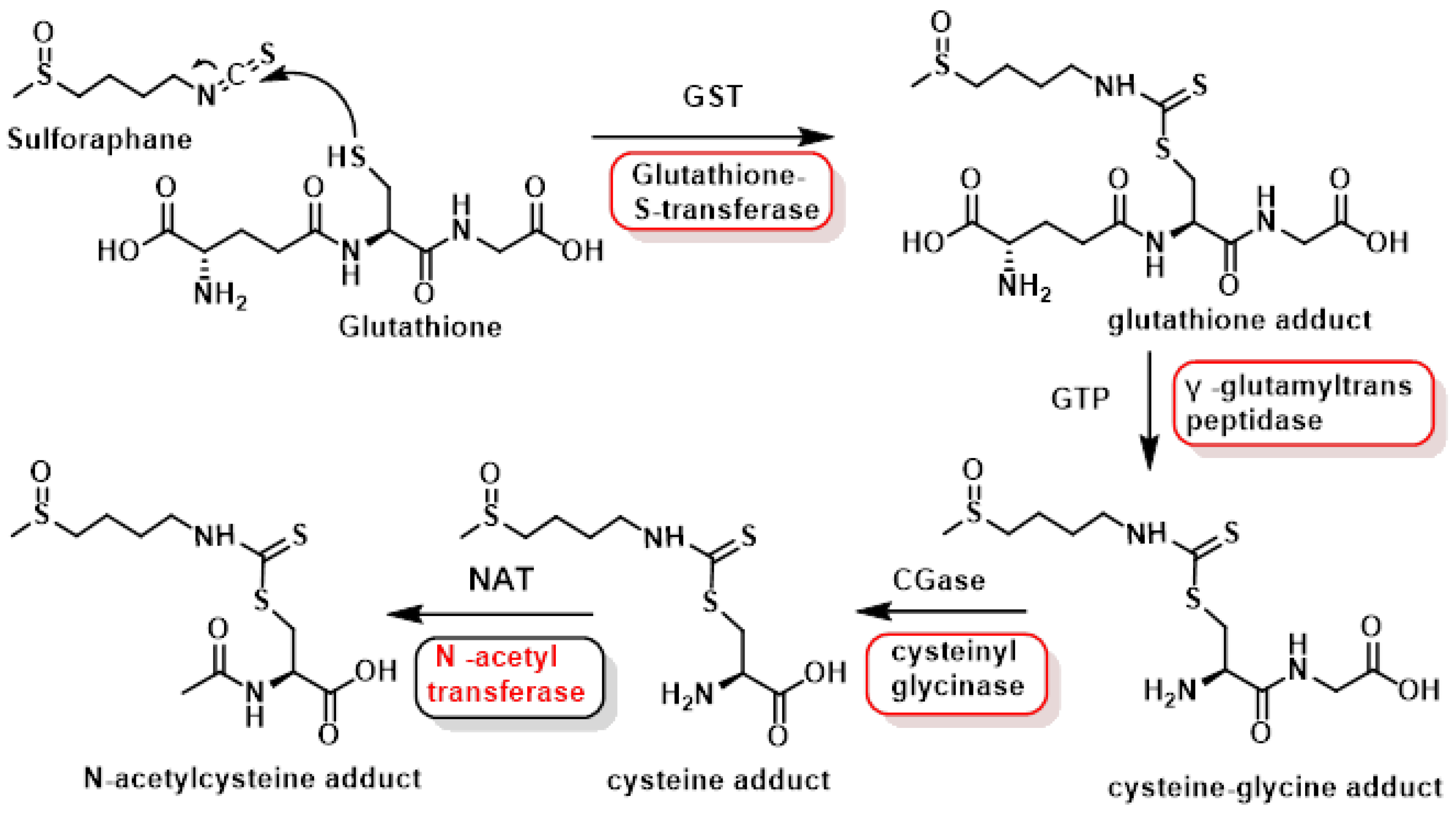 Molecules 30 02262 g015