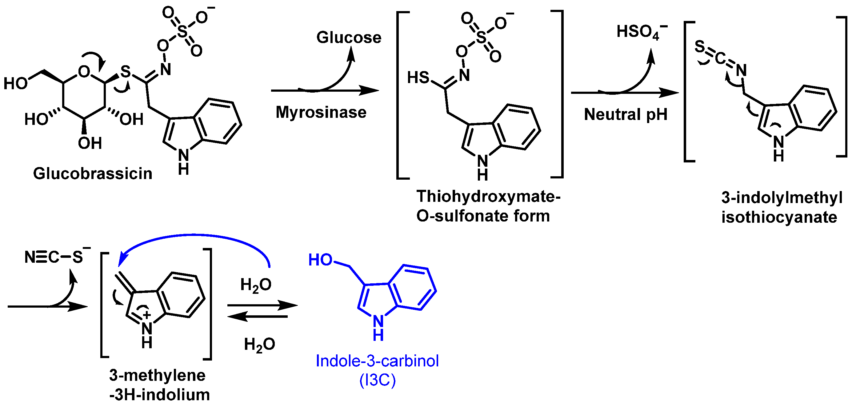 Molecules 30 02262 g025