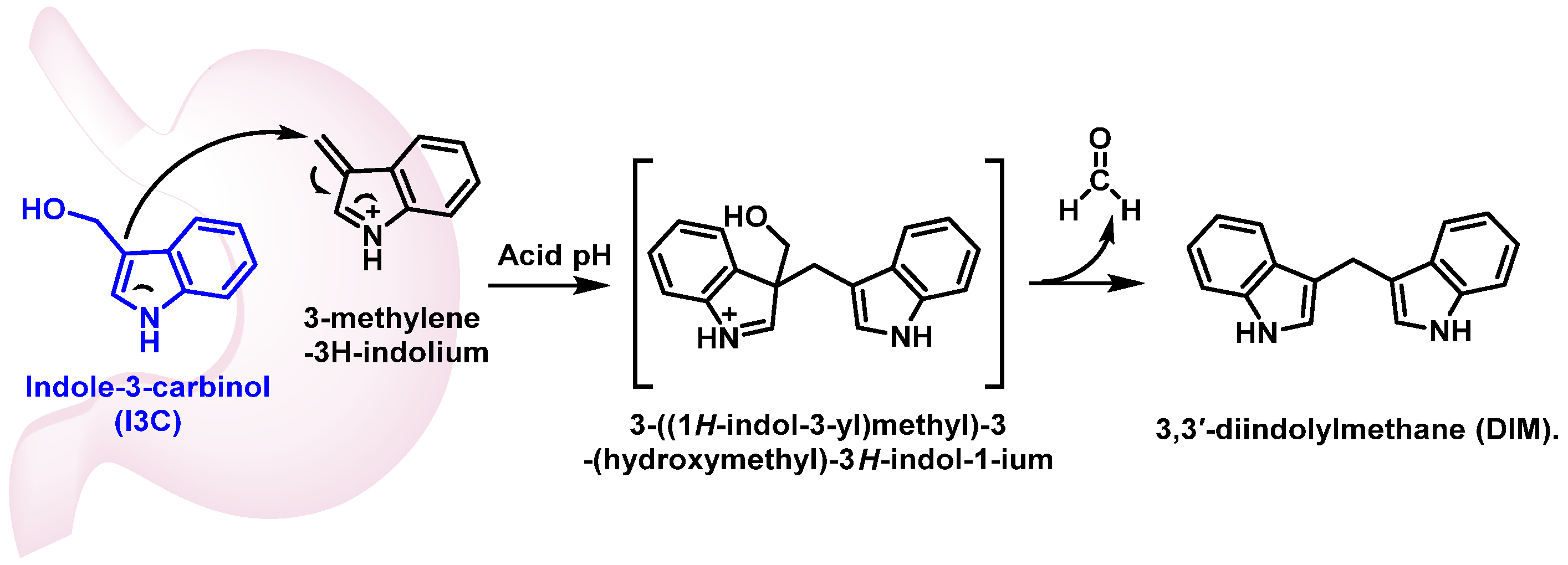 Molecules 30 02262 g026
