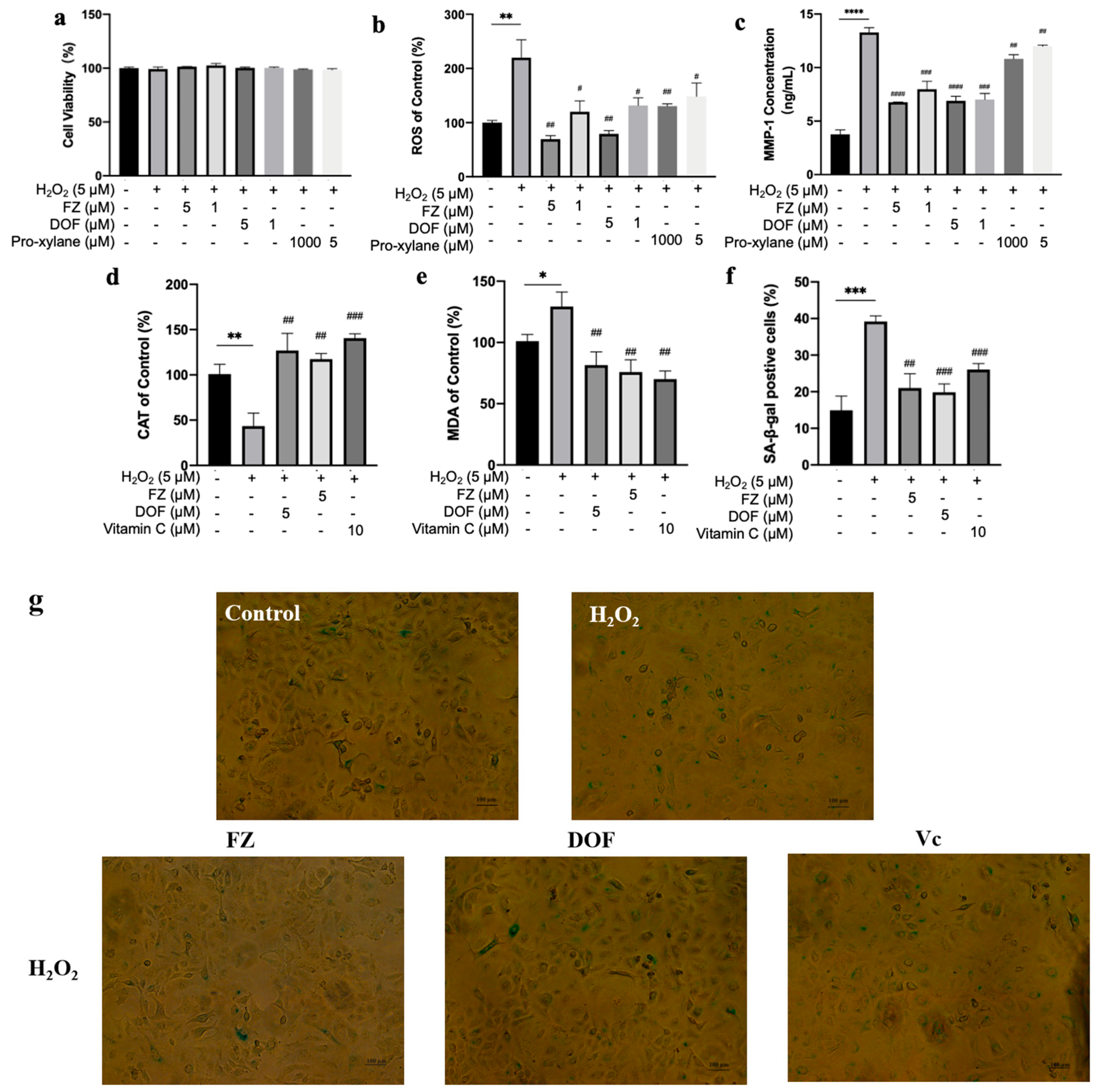 Molecules 30 02263 g004