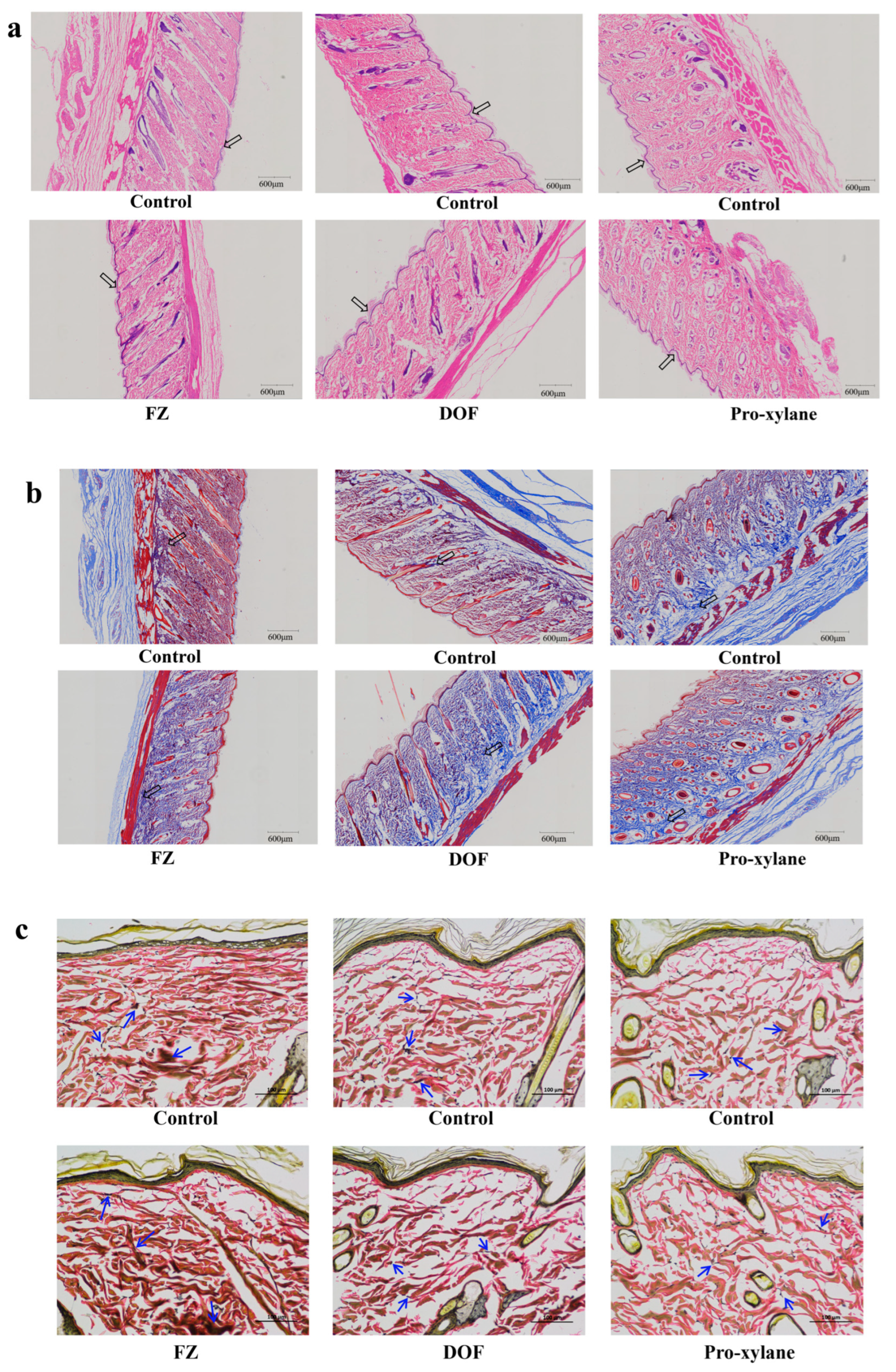 Molecules 30 02263 g005