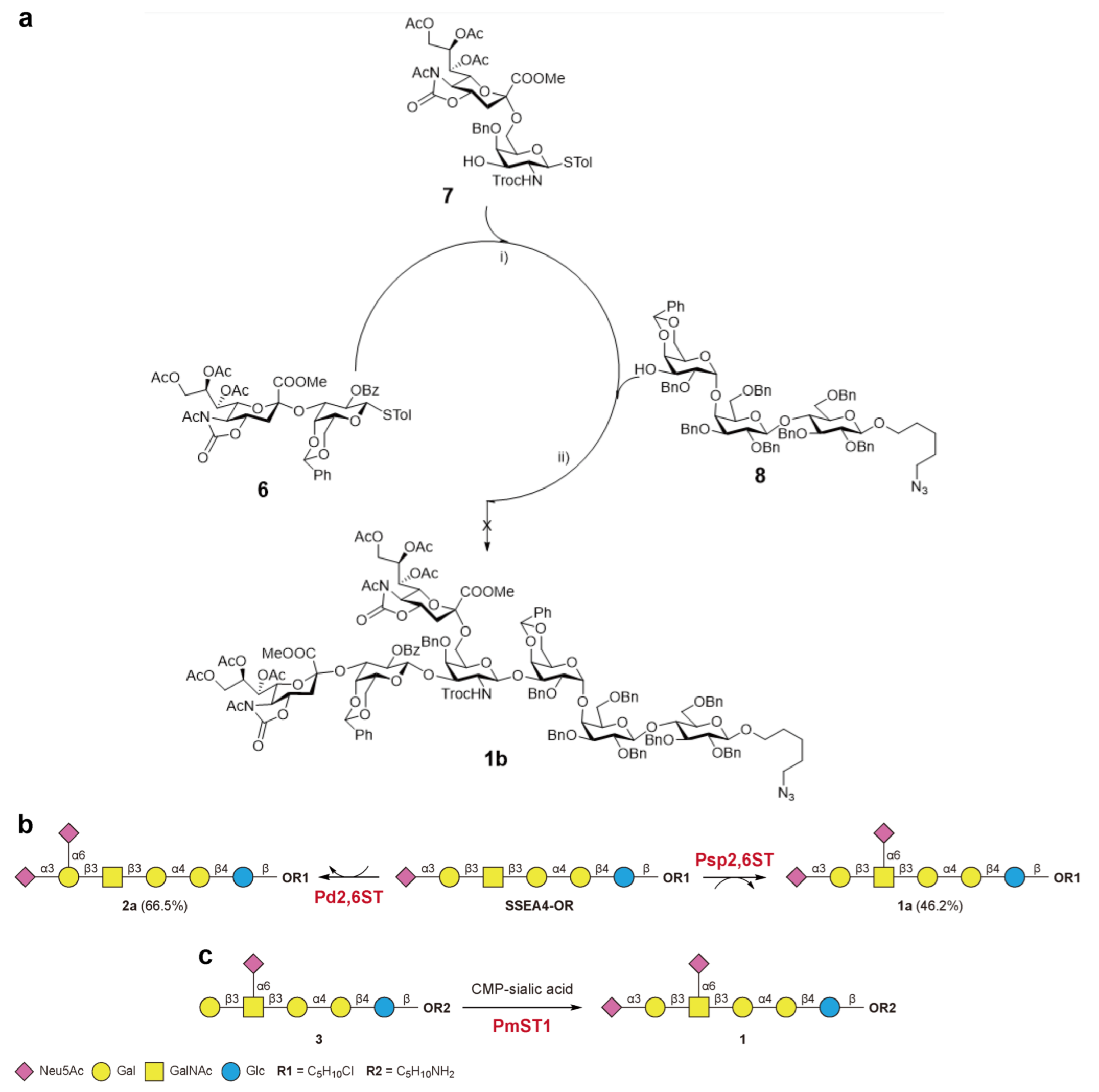 Molecules 30 02264 sch001