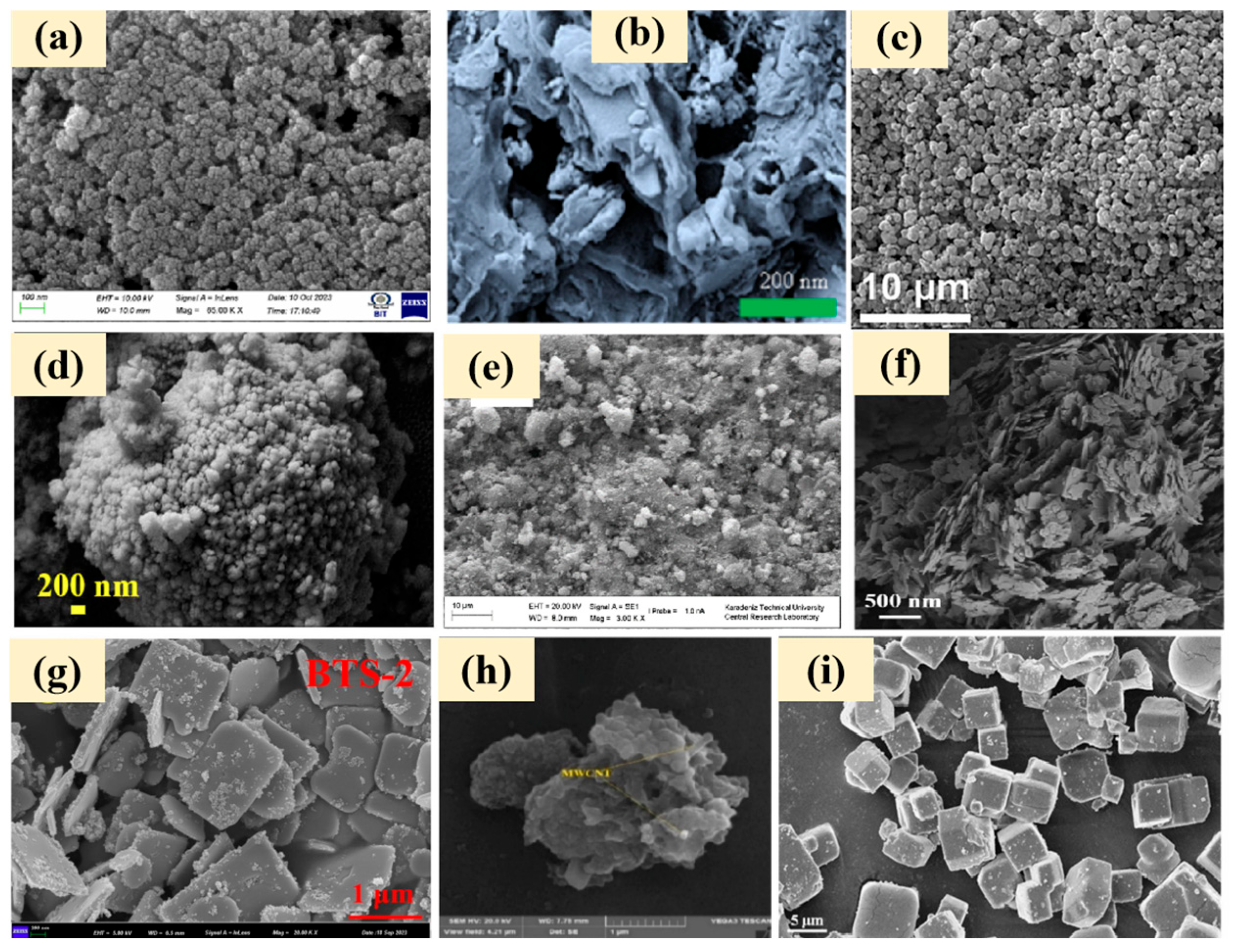 Molecules 30 02266 g001