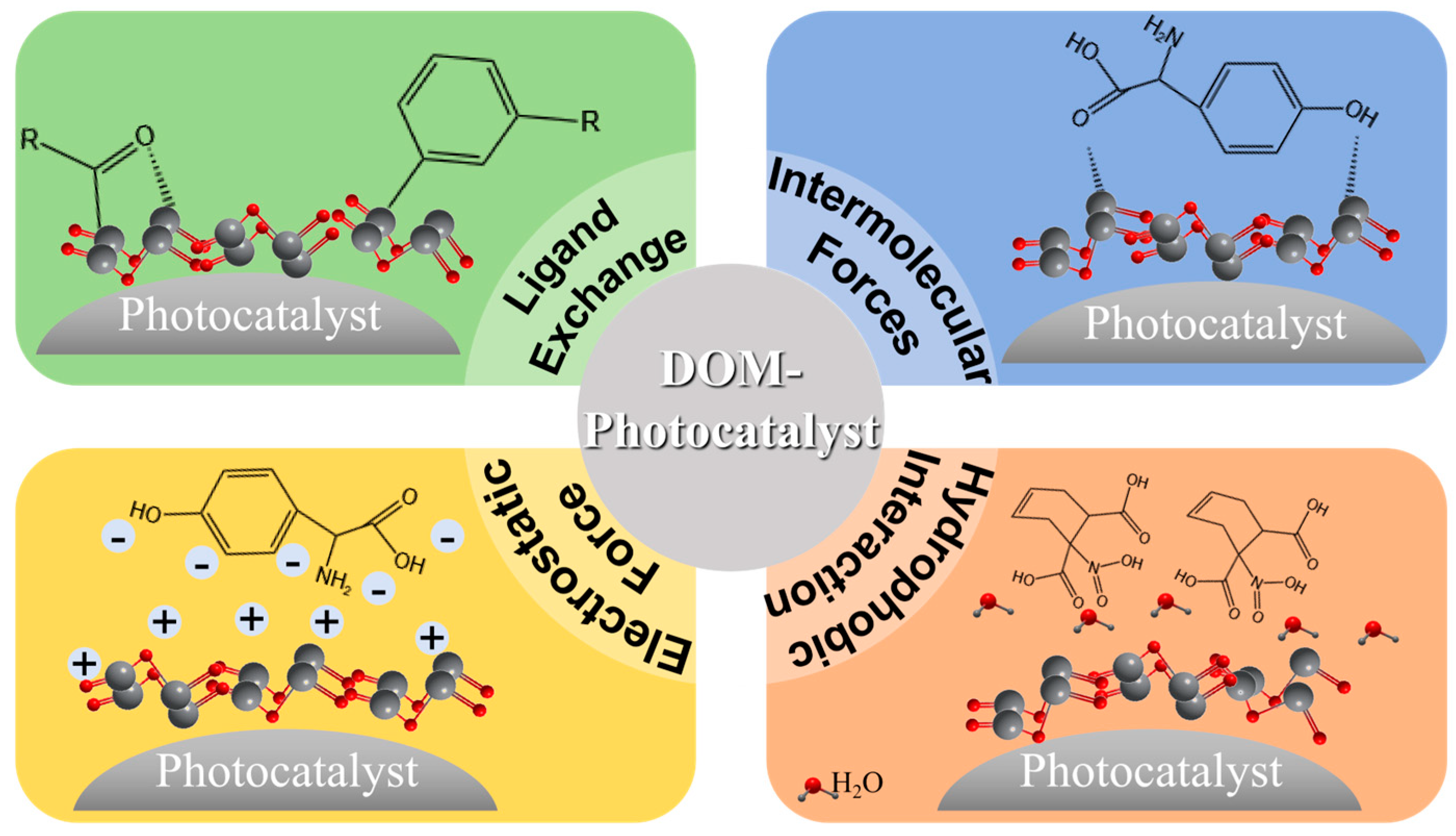 Molecules 30 02266 g003