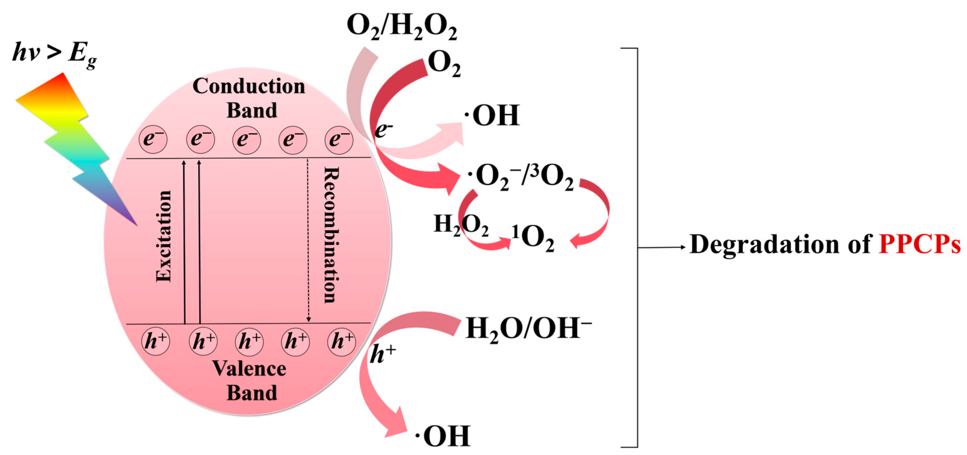 Molecules 30 02266 g005