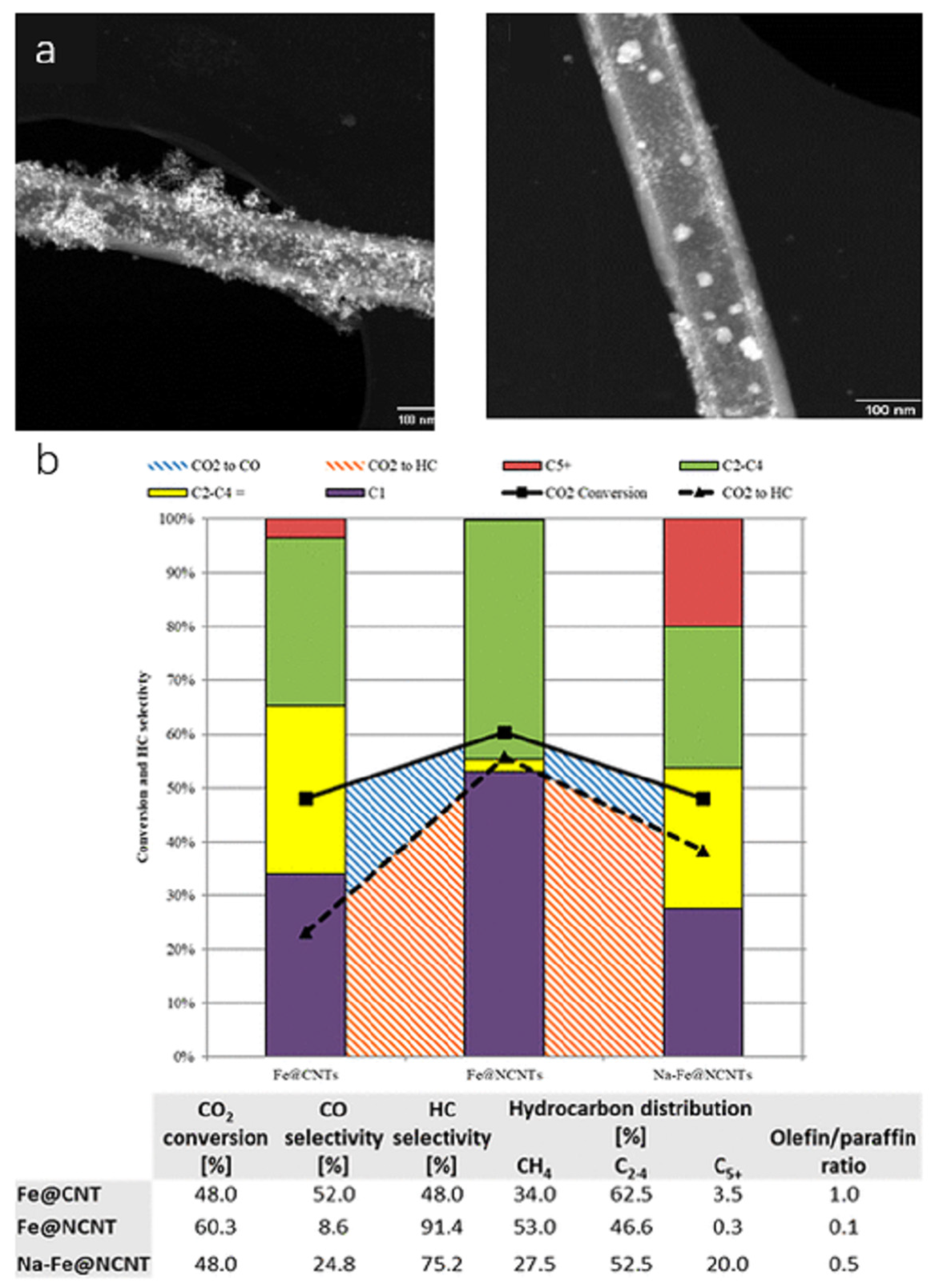 Molecules 30 02268 g010