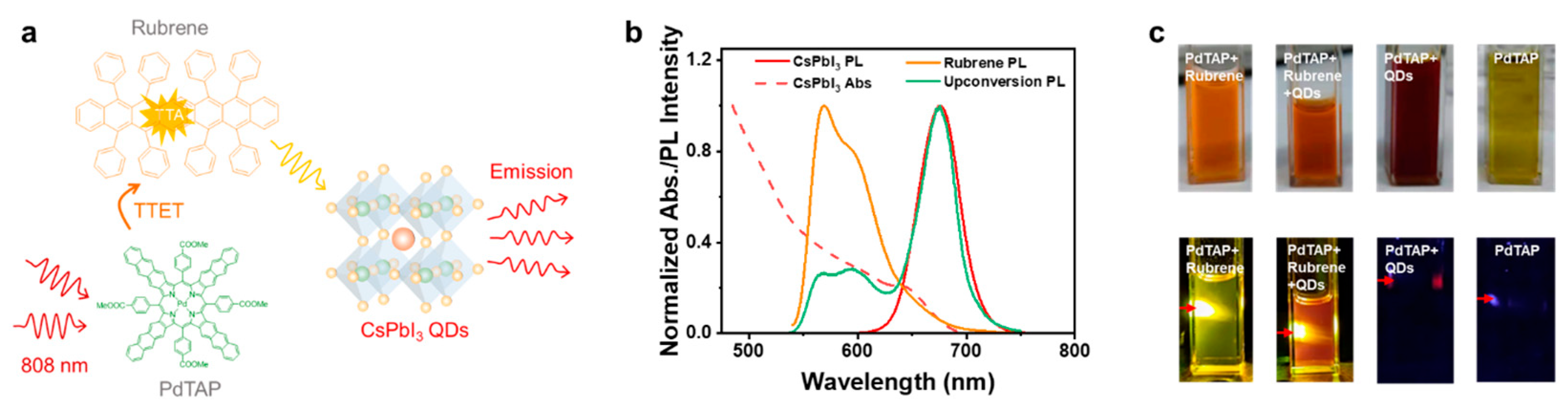 Molecules 30 02273 g002